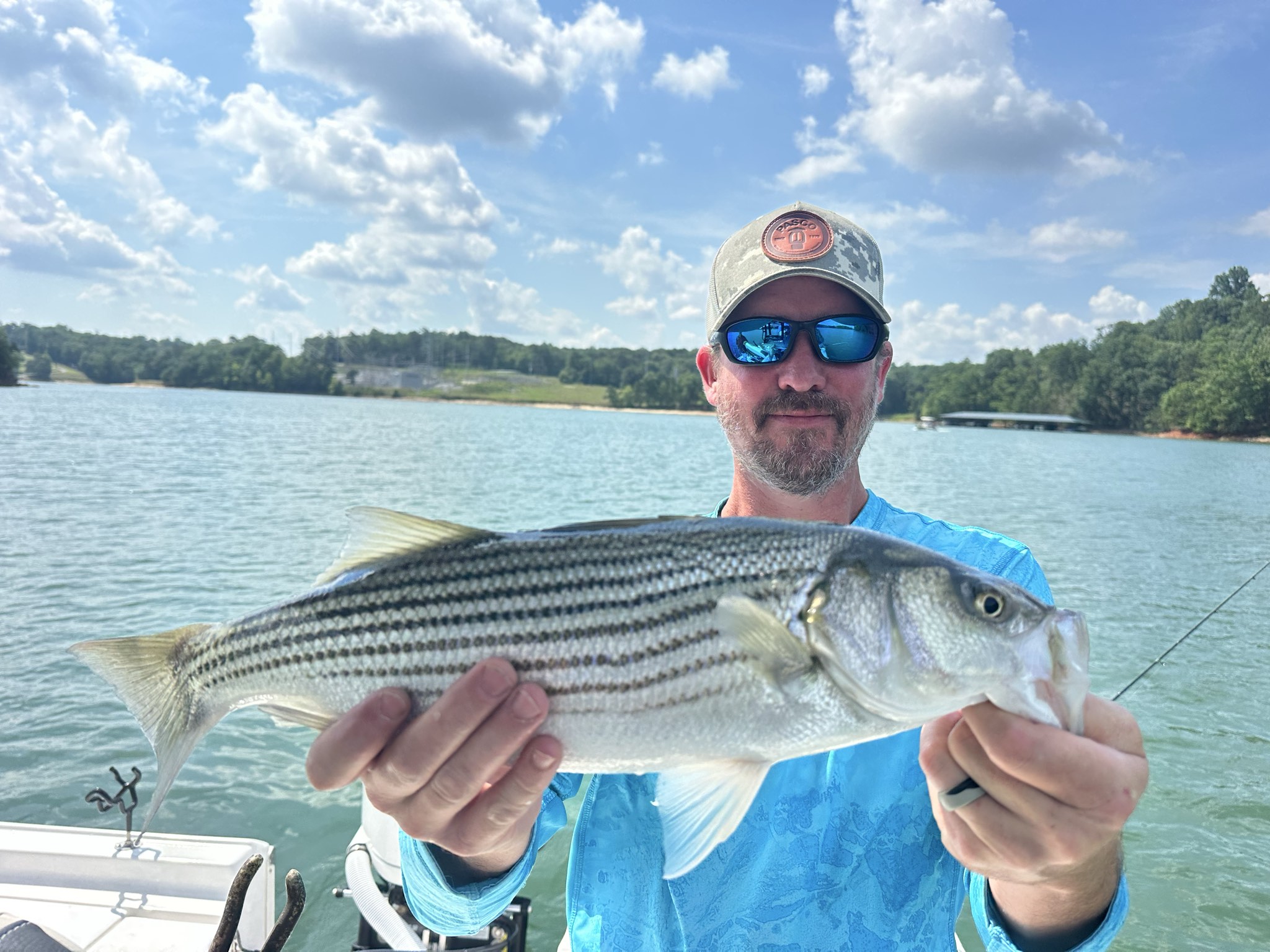 Summer Bass Variety On Lake Lanier