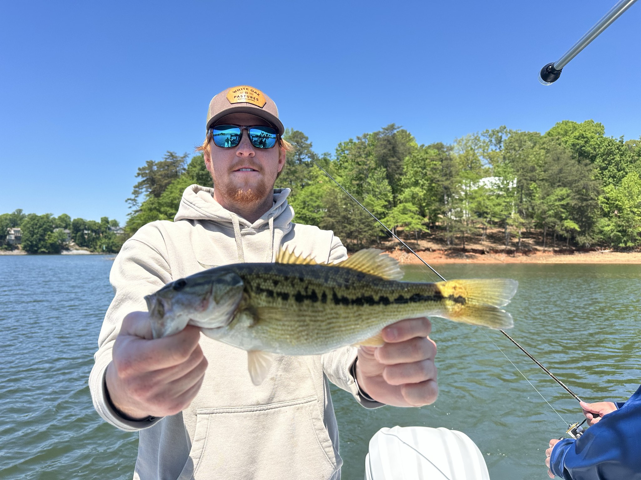 Striped Bass — April 2026