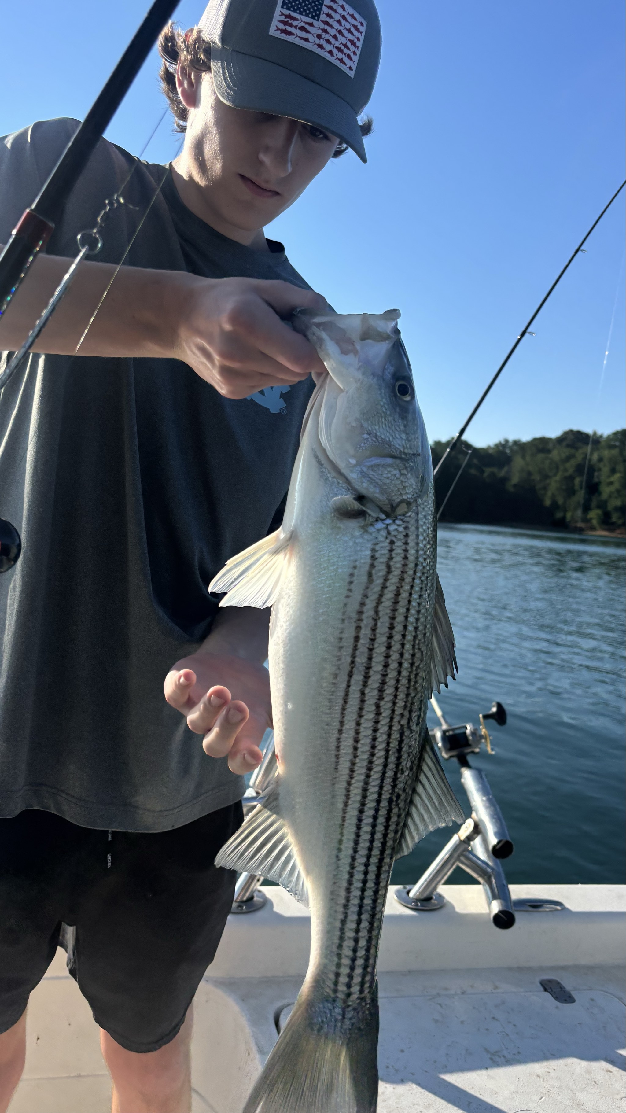 Summer Stripers Dominate Lake Lanier