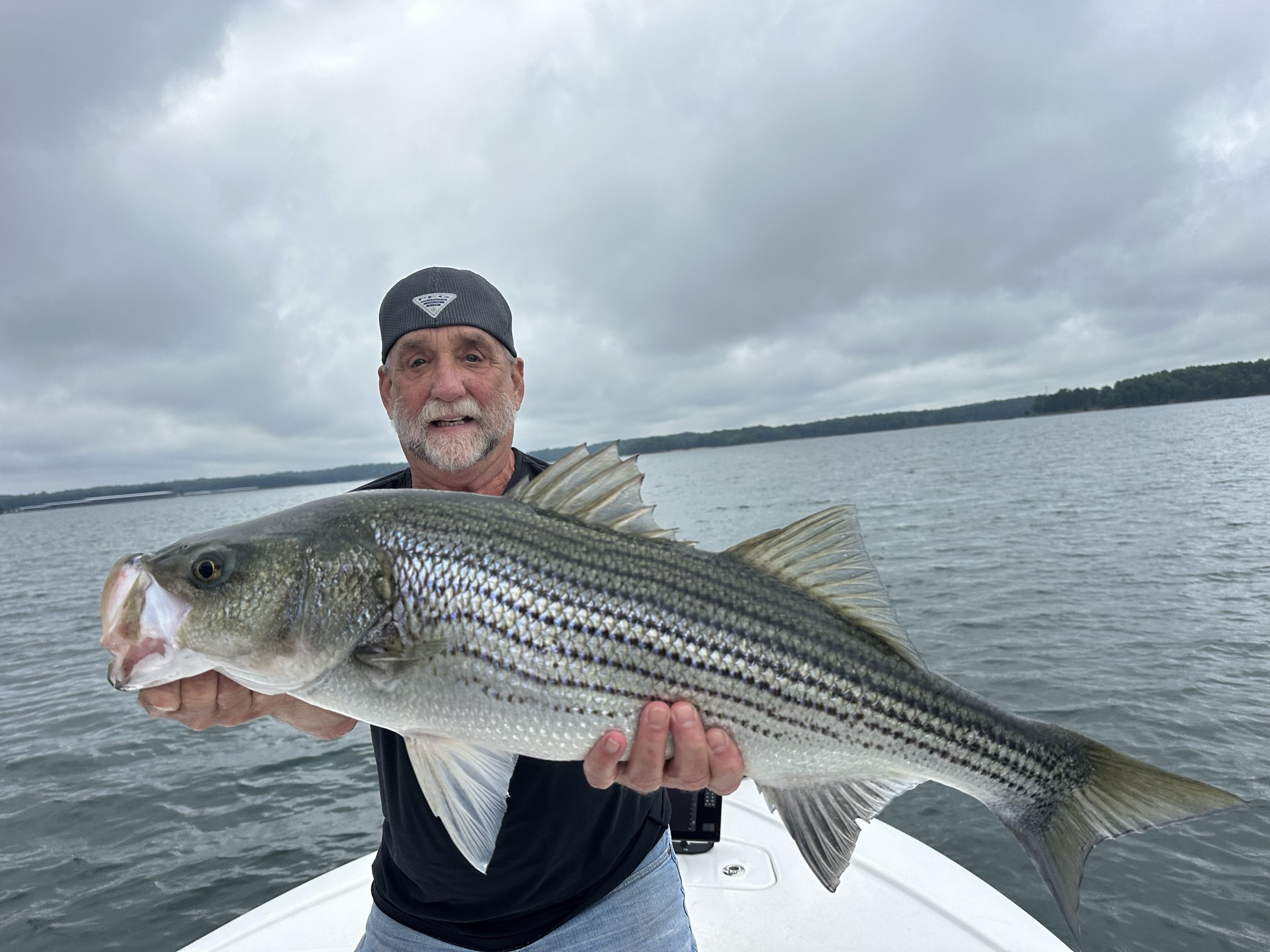 Trophy Bass Action Lake Lanier July