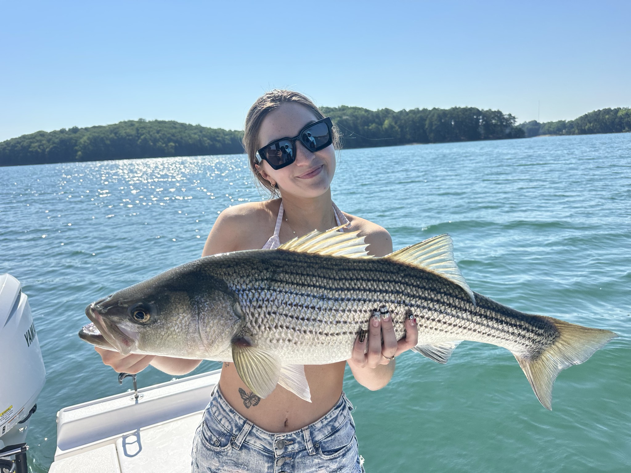 Summer Trophy Bass Action Lake Lanier