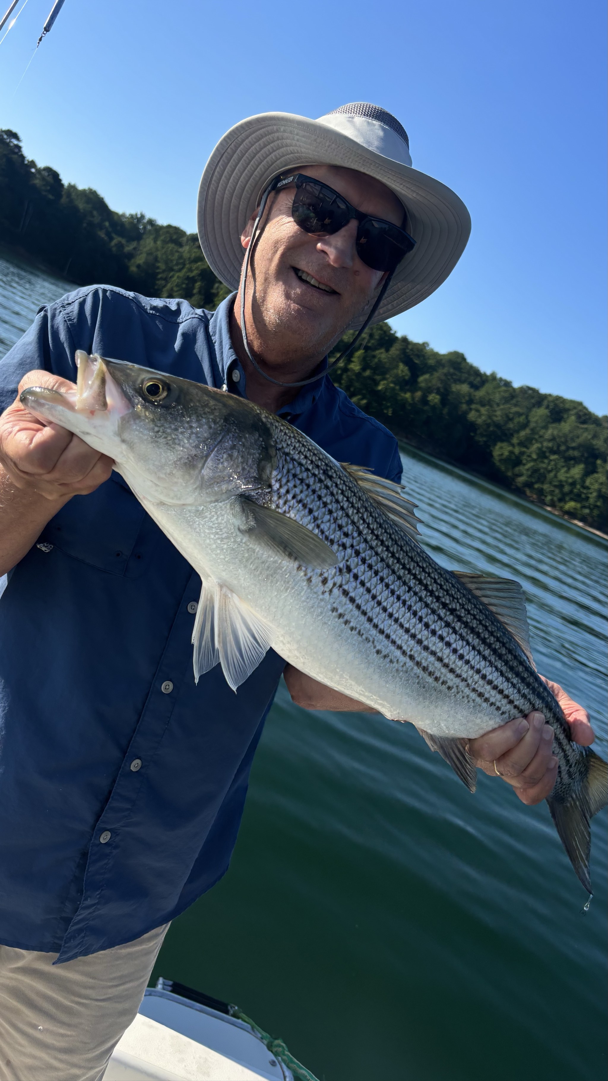 Summer Stripers Dominate Lake Lanier