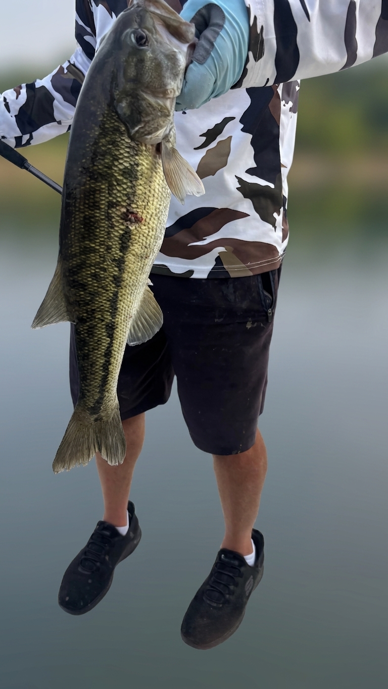 Striped And Spotted Bass On Lake Lanier