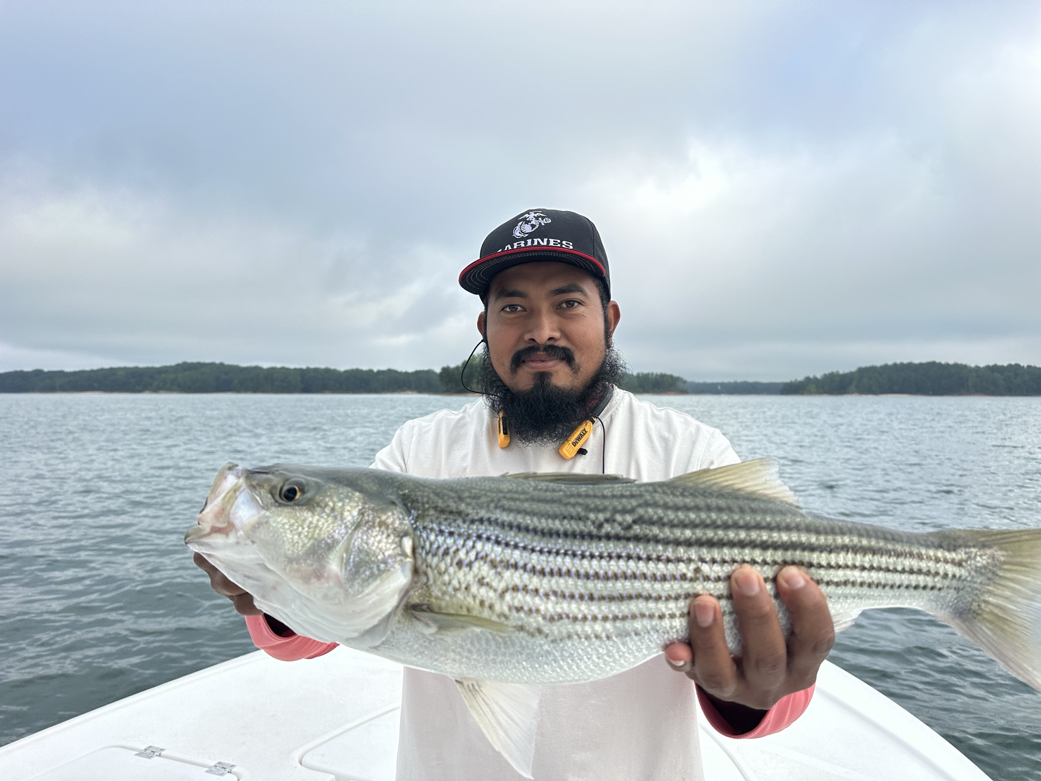 Seventeen Bass Lake Lanier Summer Success