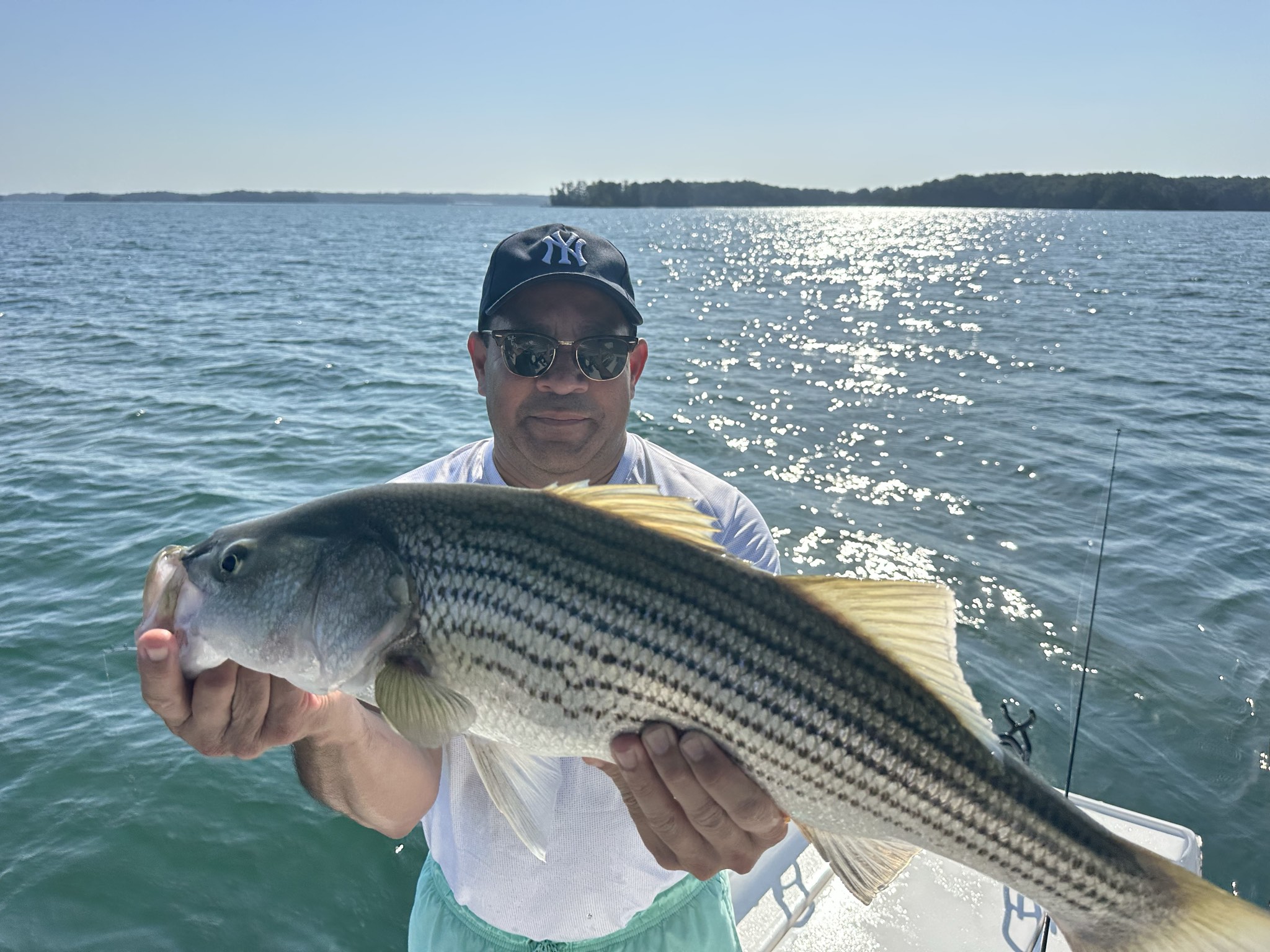 Striped Bass Bonanza on Lake Lanier