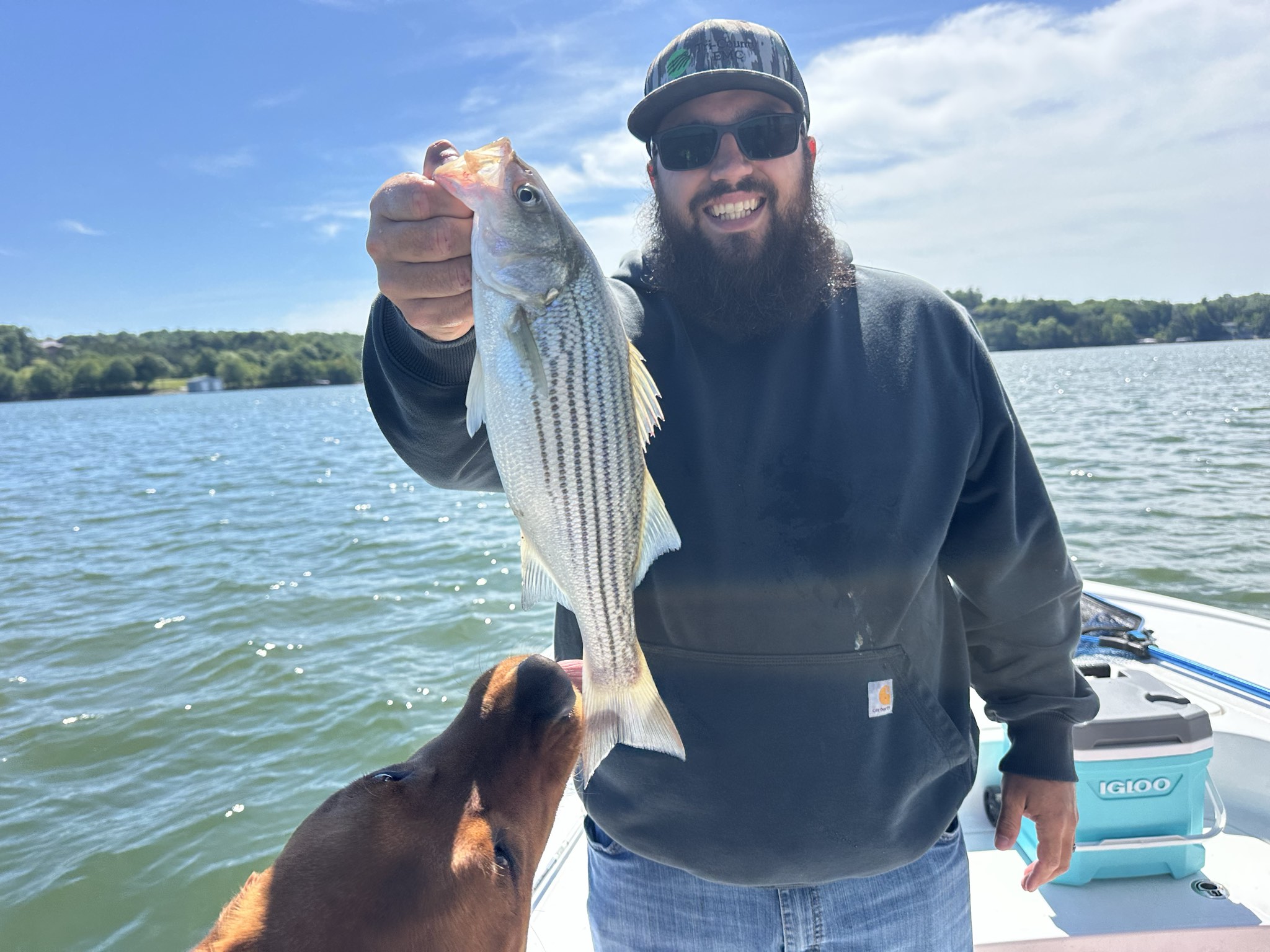 Striped Bass — May 2026