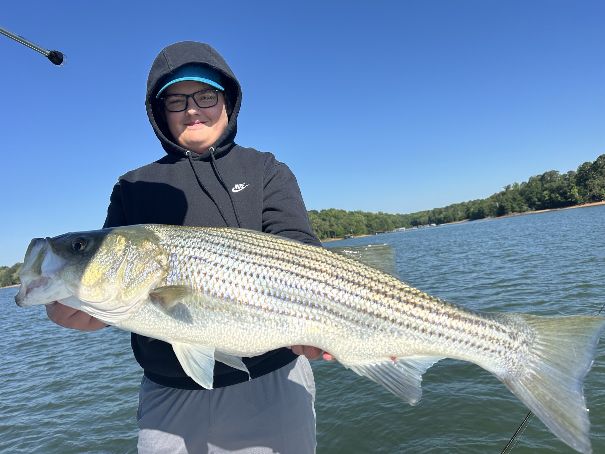 Striped Bass — June 2026