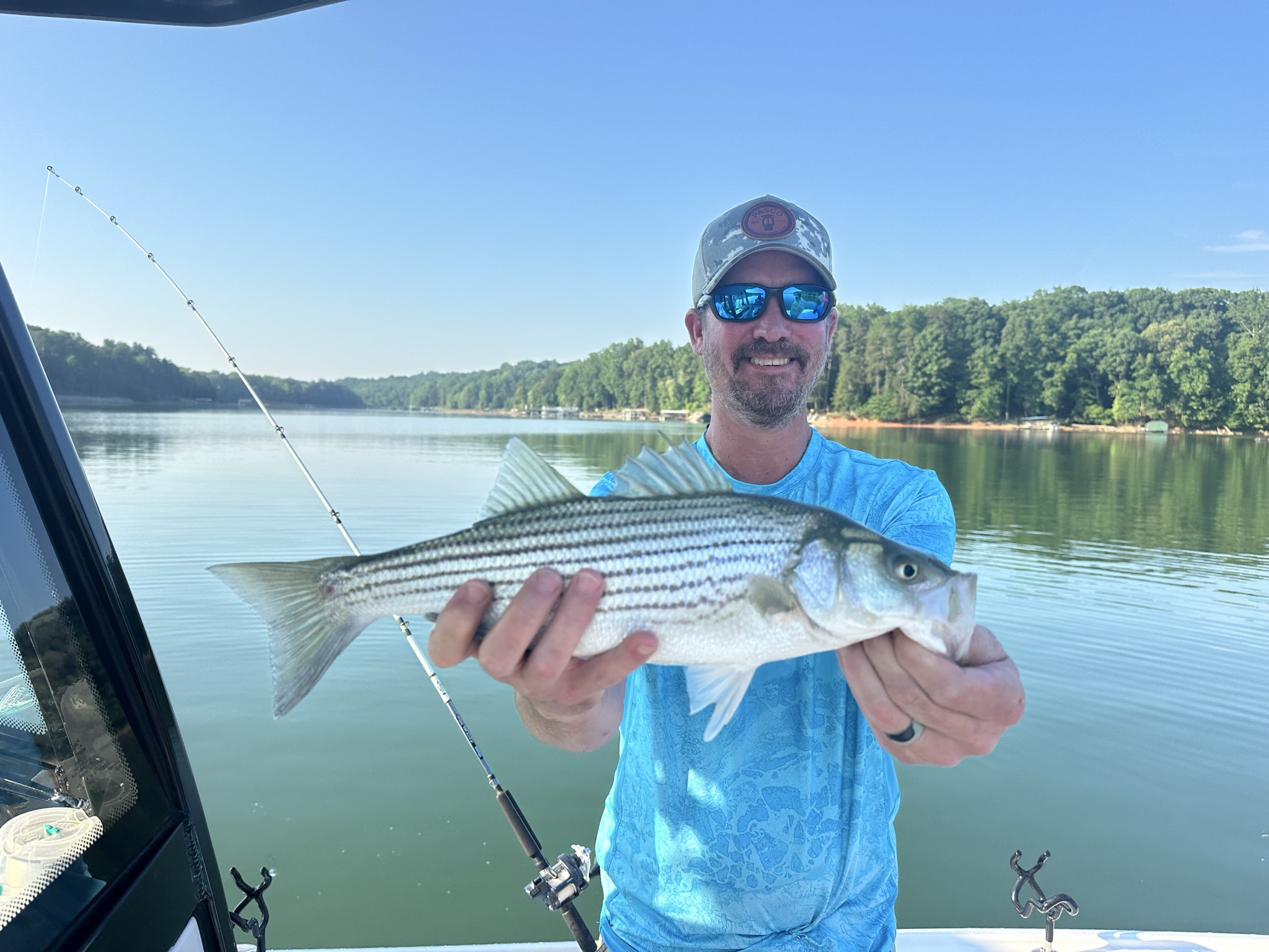 Summer Bass Variety On Lake Lanier