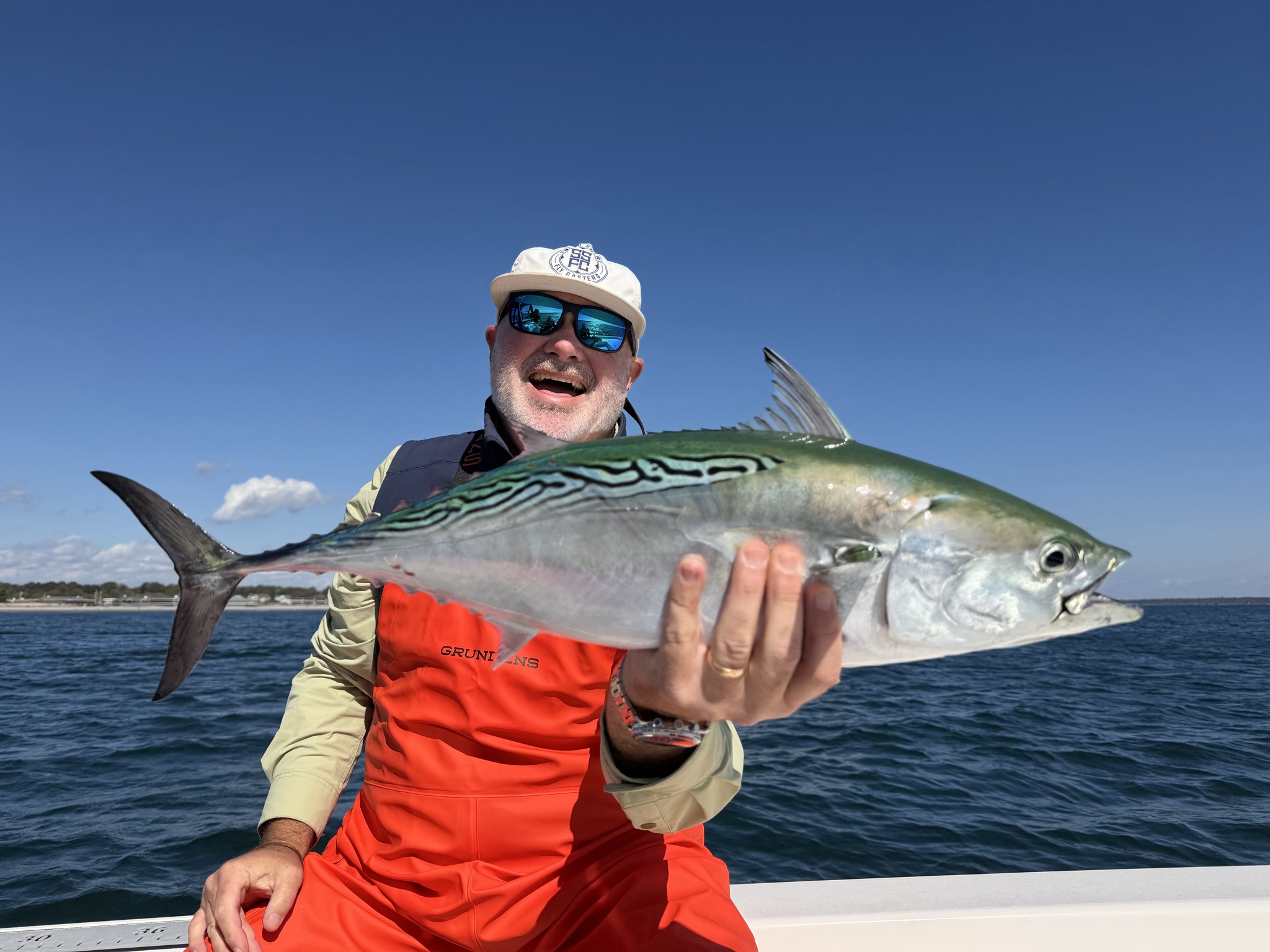 Atlantic bonito caught out of Boston, Oct 8, 2026