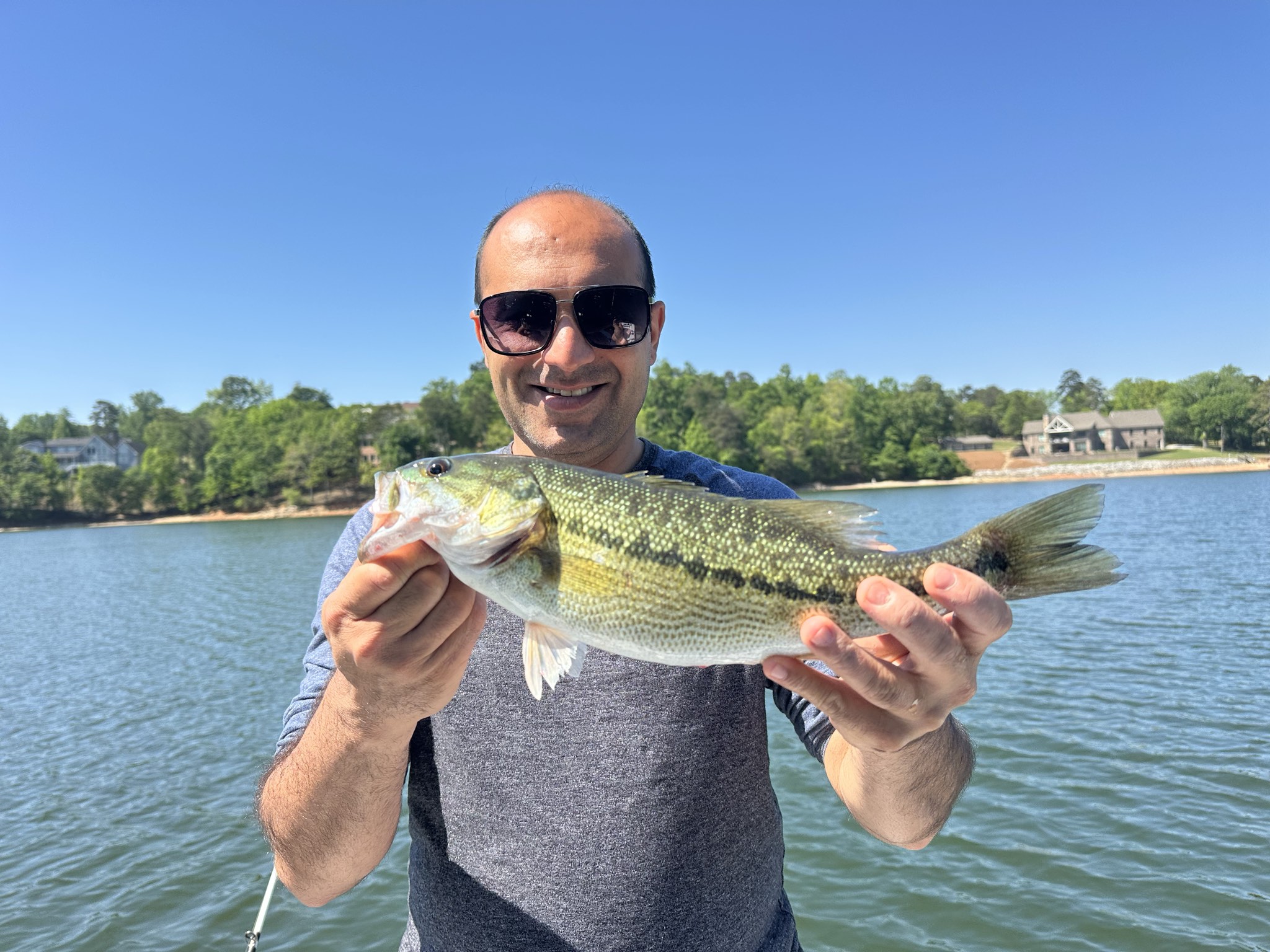 Striped Bass And Spotted Bass On Lake Lanier