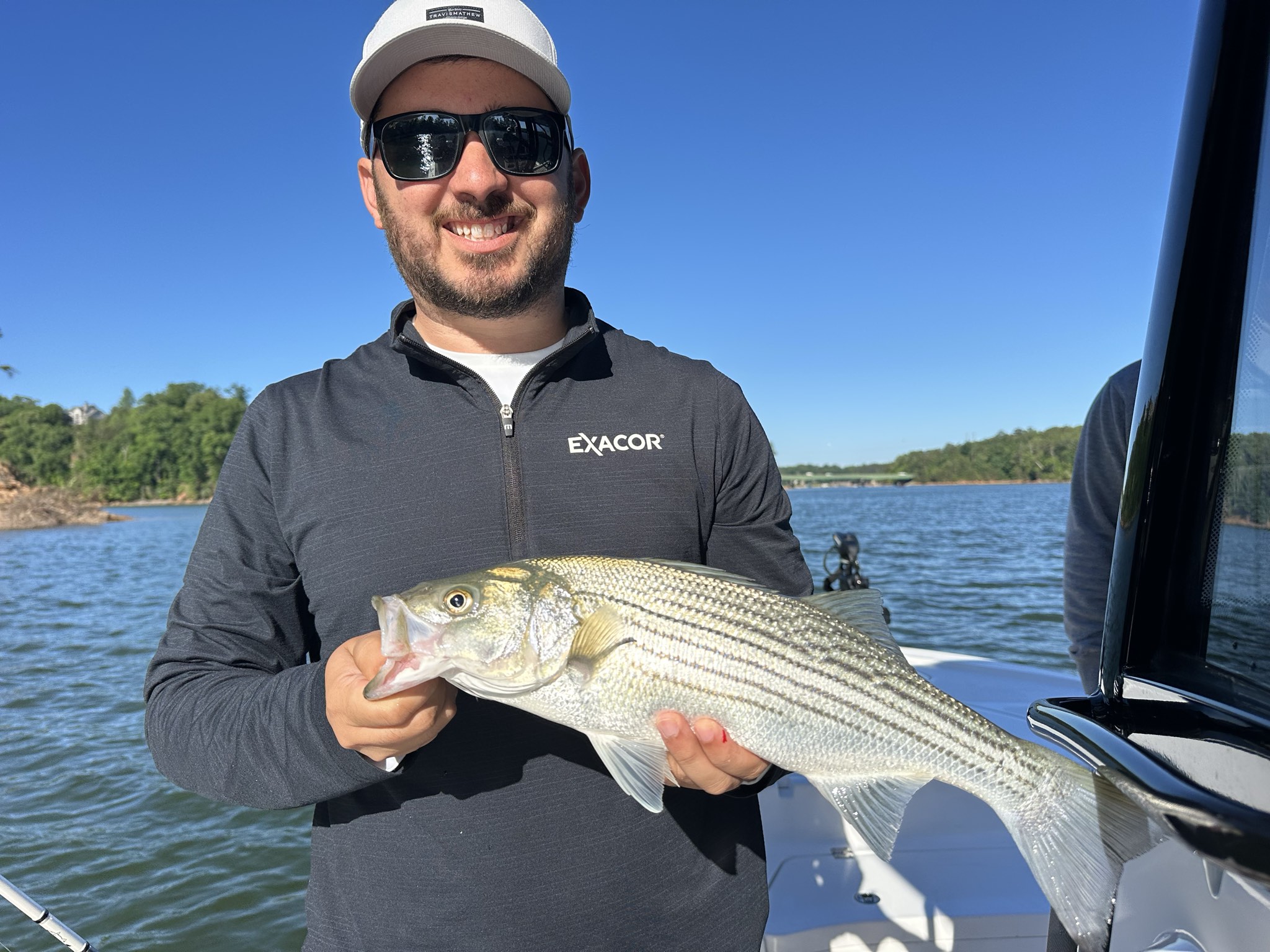Striped Bass — May 2026