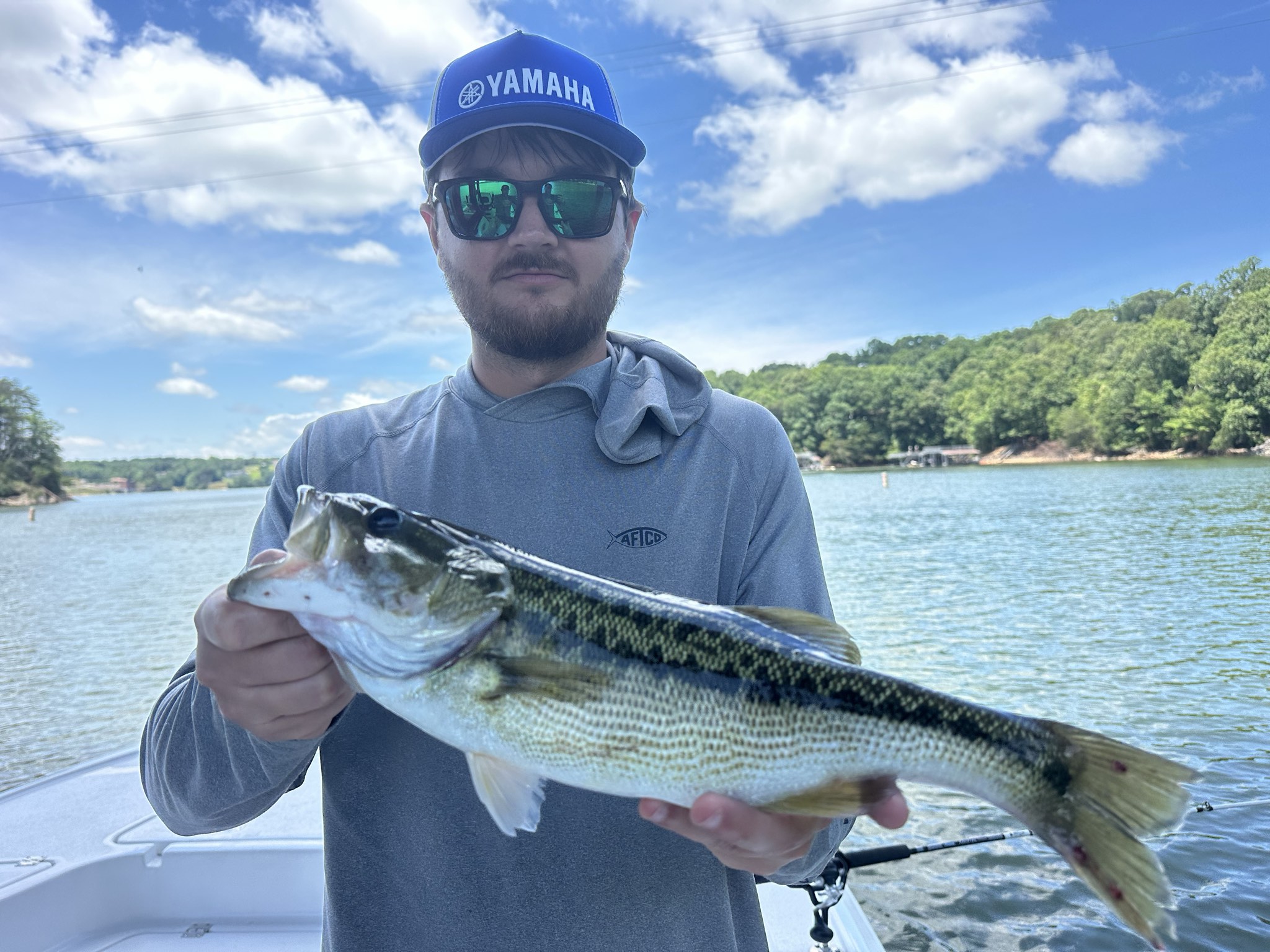 Striped Bass And Spotted Bass Dominate Lake Lanier