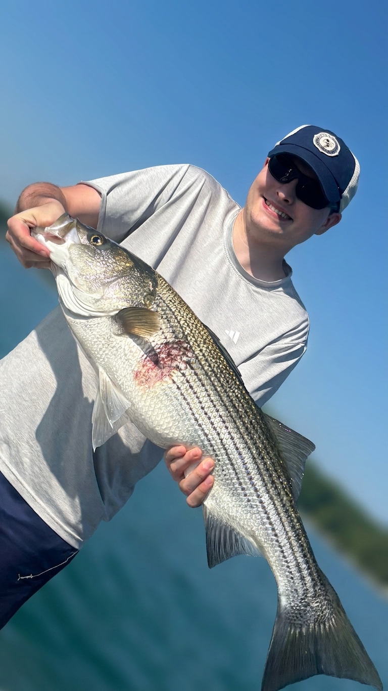 Striped bass caught on Lake Lanier, Sept 5, 2026