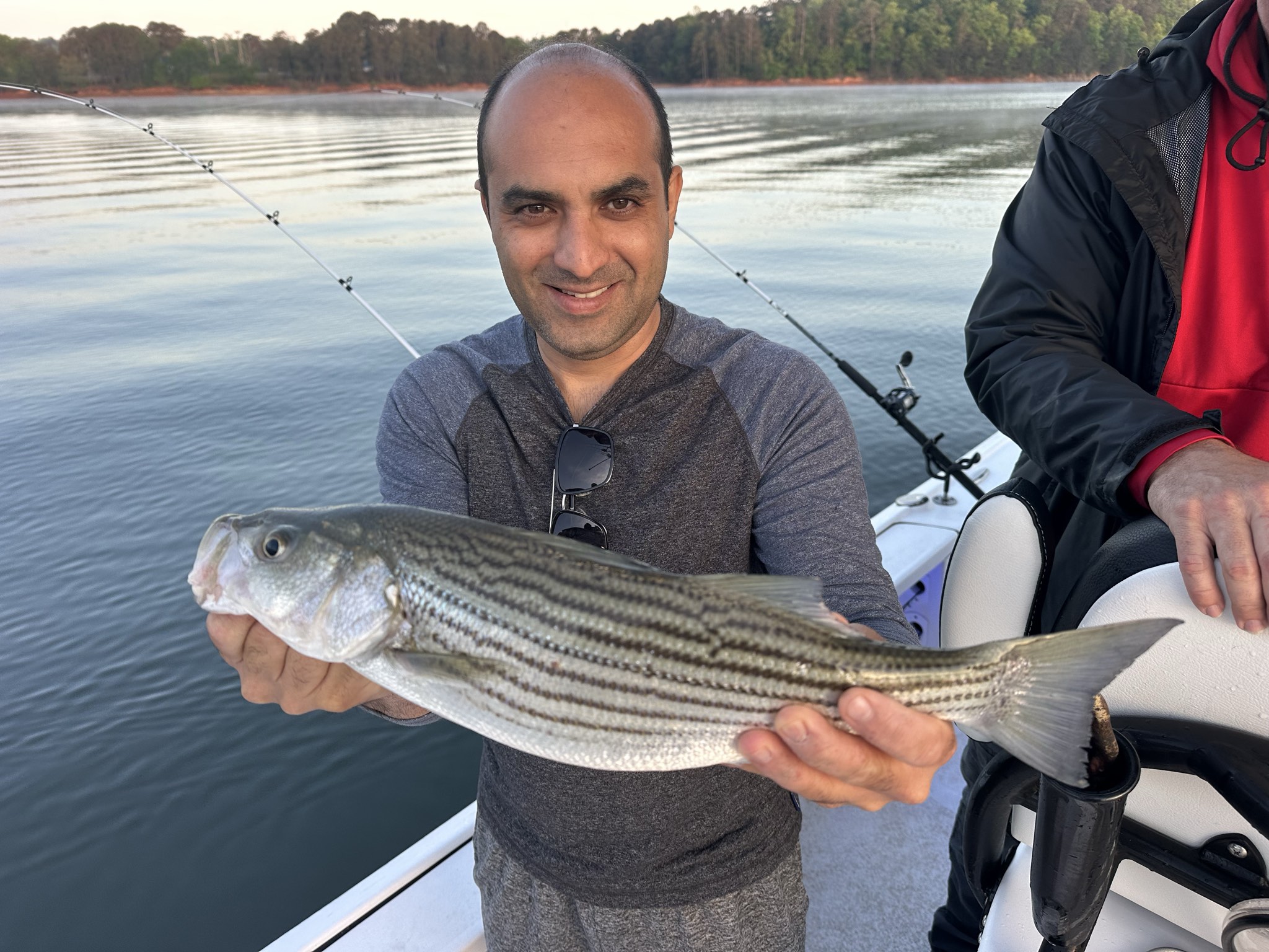 Striped Bass And Spotted Bass On Lake Lanier