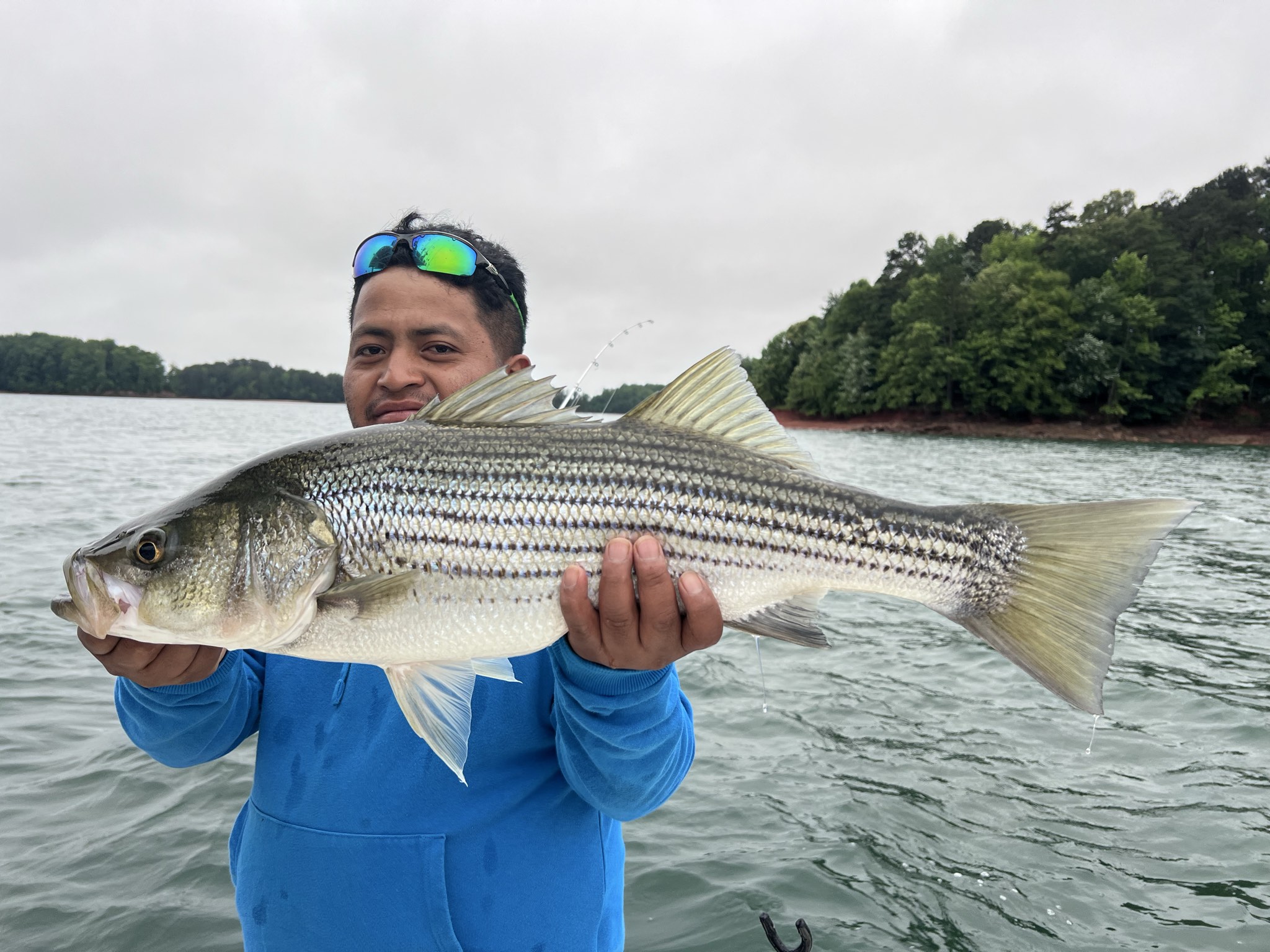 Striped Bass Success On Lake Lanier