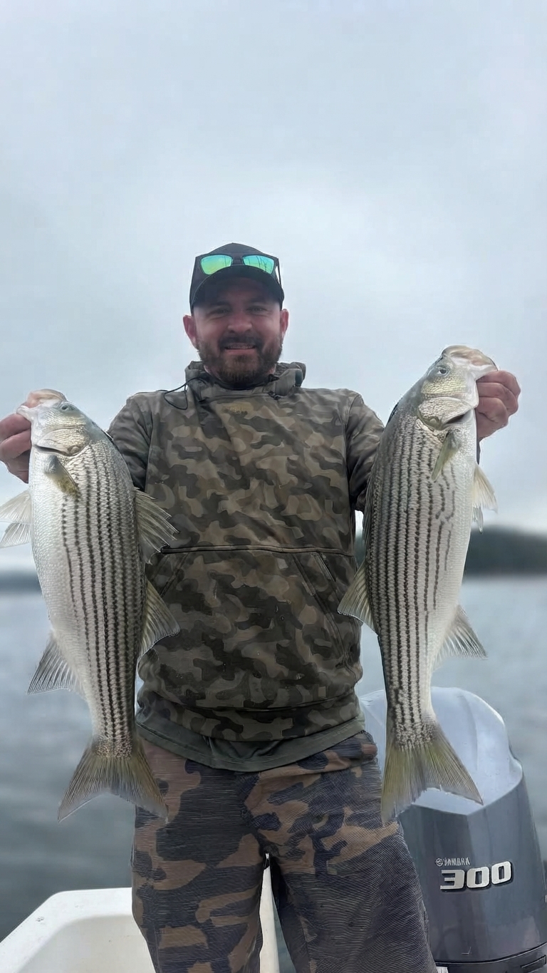 Lake Lanier Channel catfish — October 2026