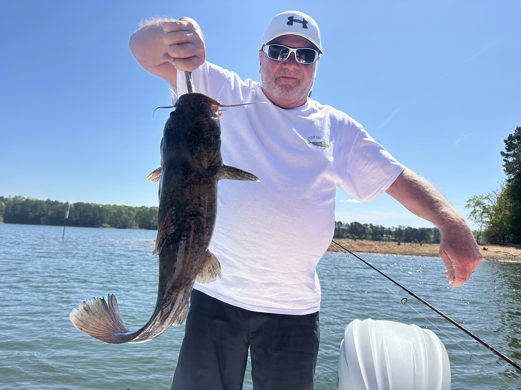 Striped Bass — April 2026