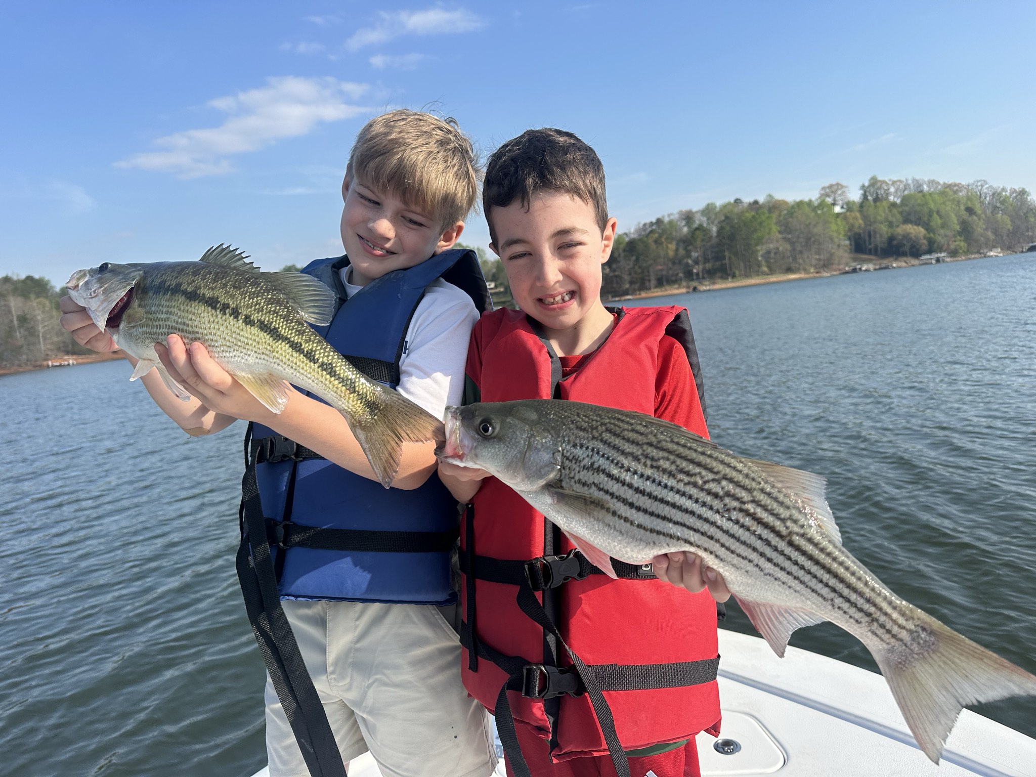 March Striper Action on Lake Lanier