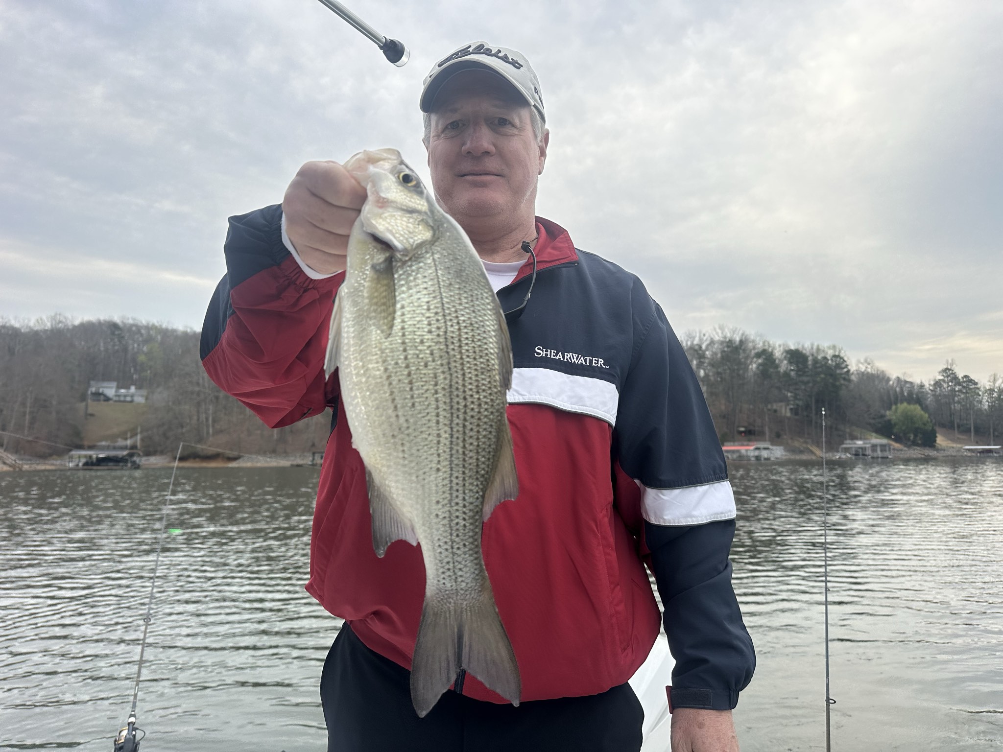 Striped Bass — March 2026