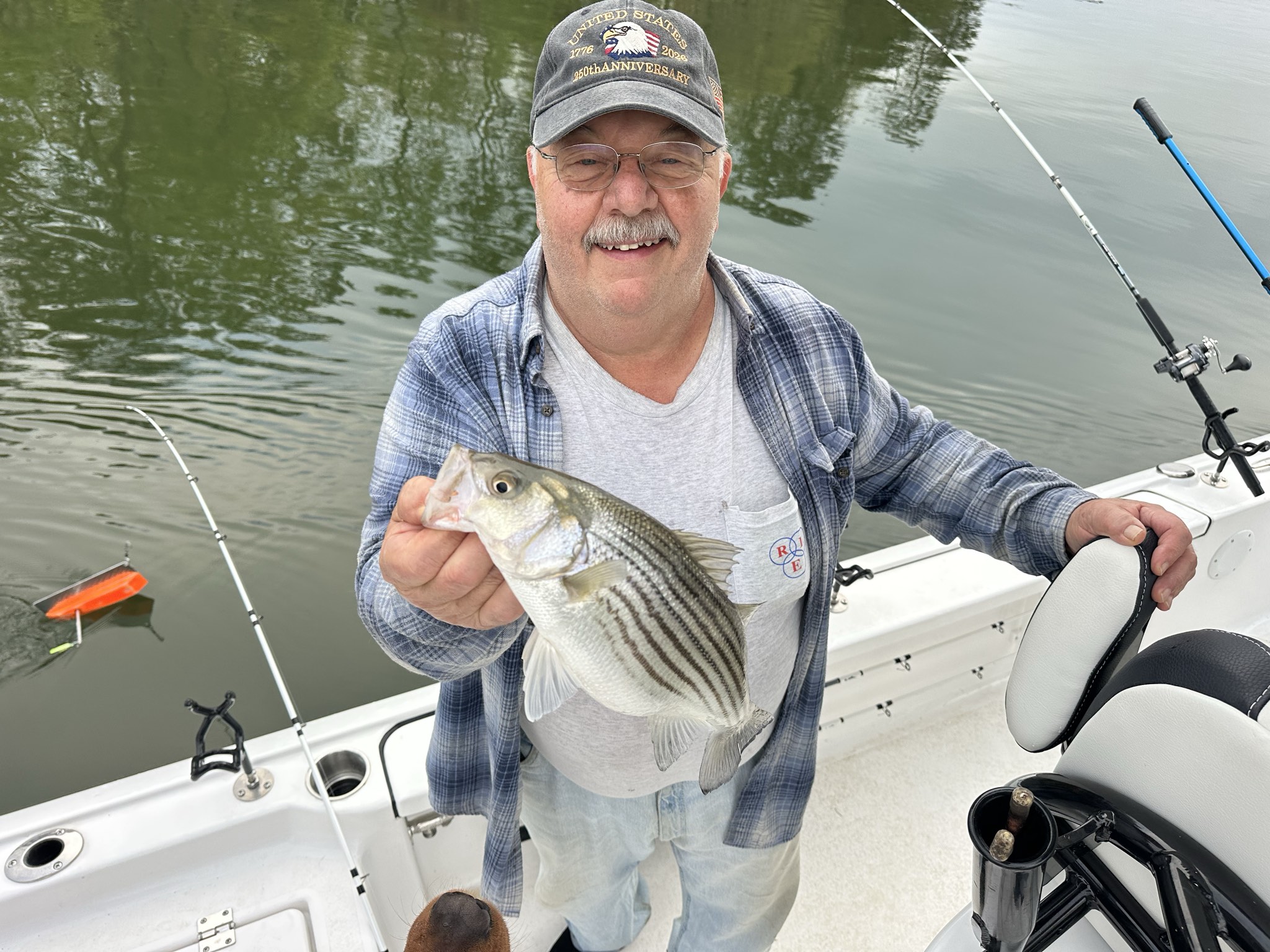 Striped Bass — April 2026