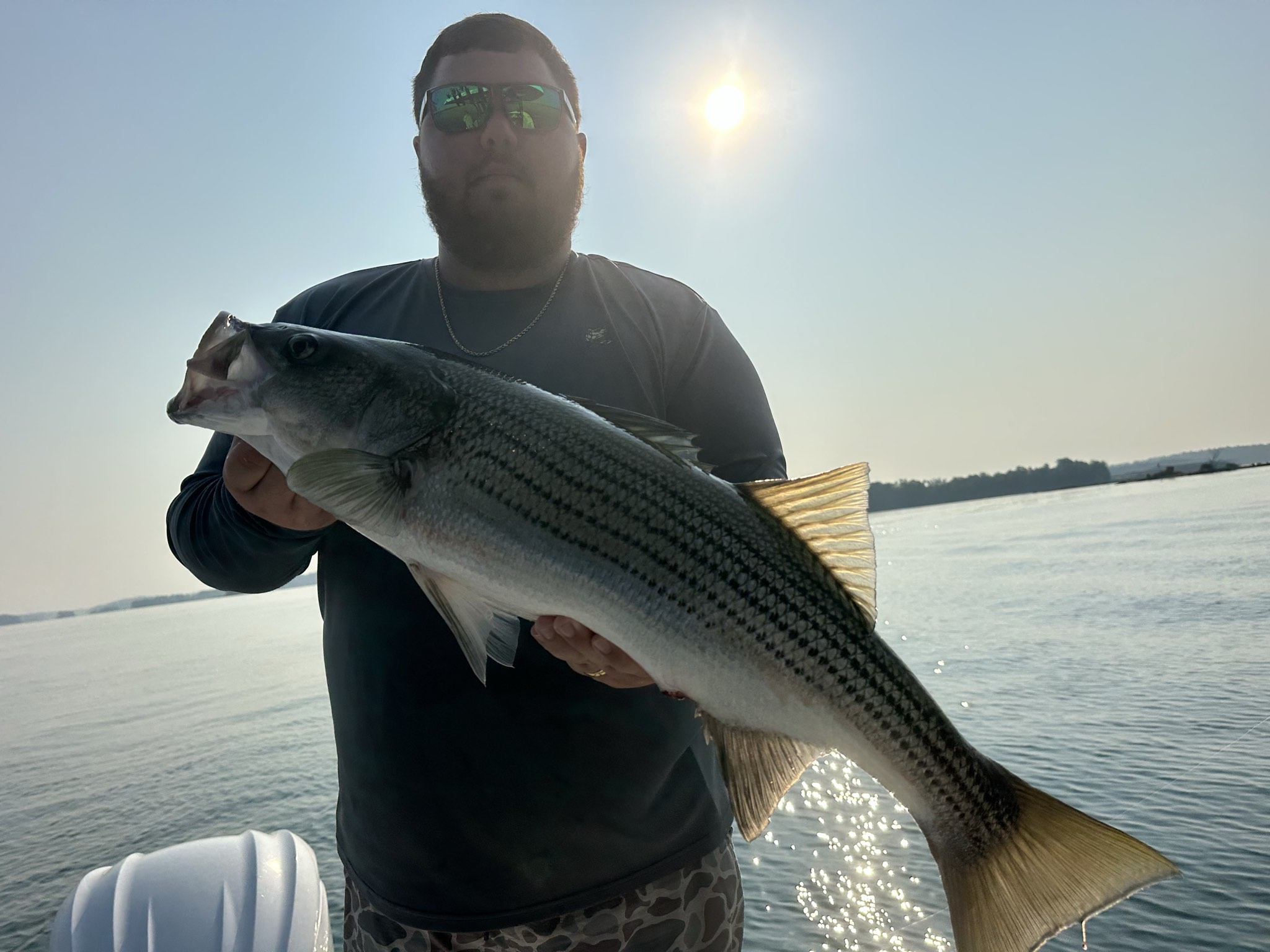 Striped And Spotted Bass Lake Lanier July