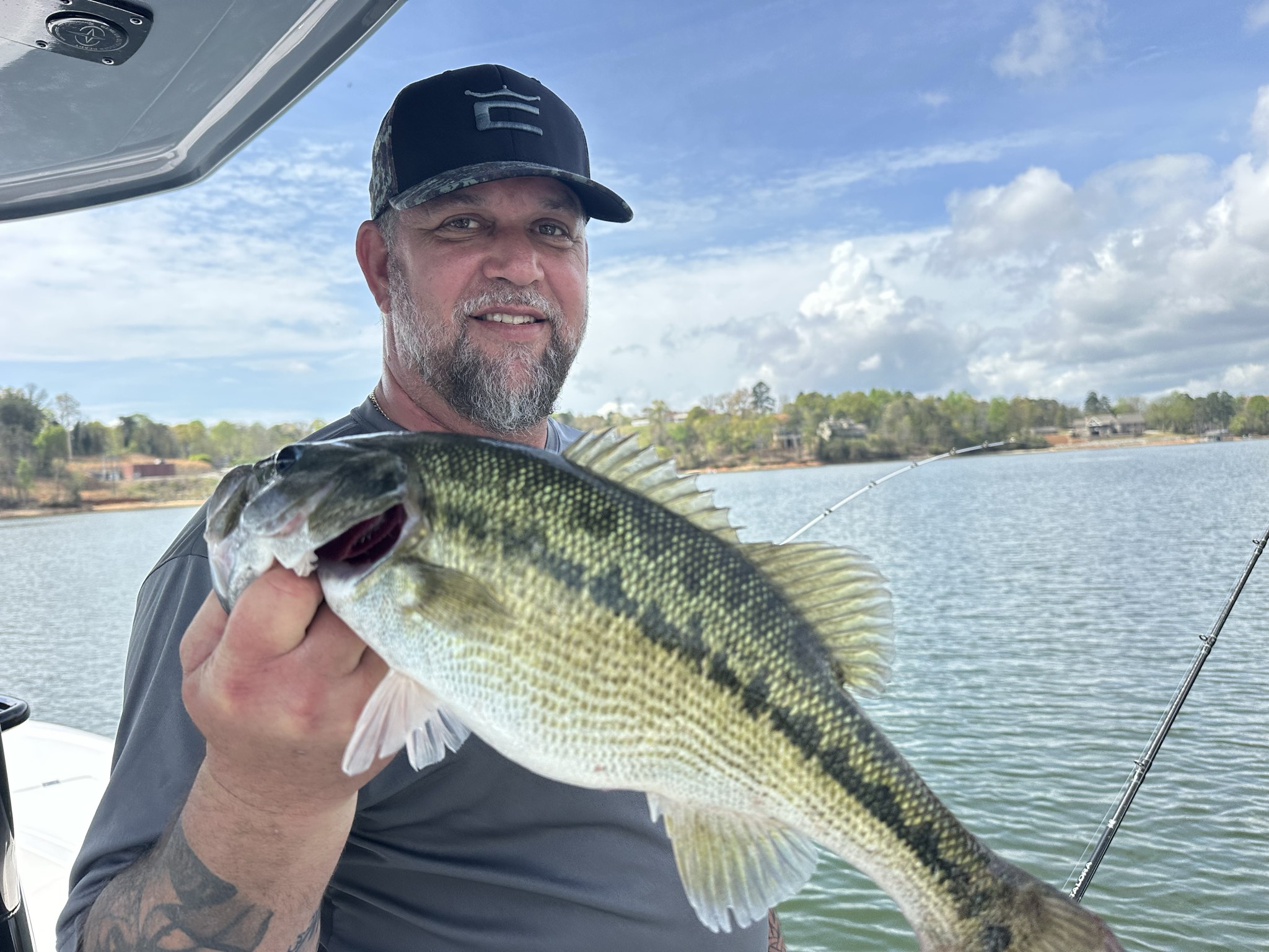 Striped Bass — April 2026
