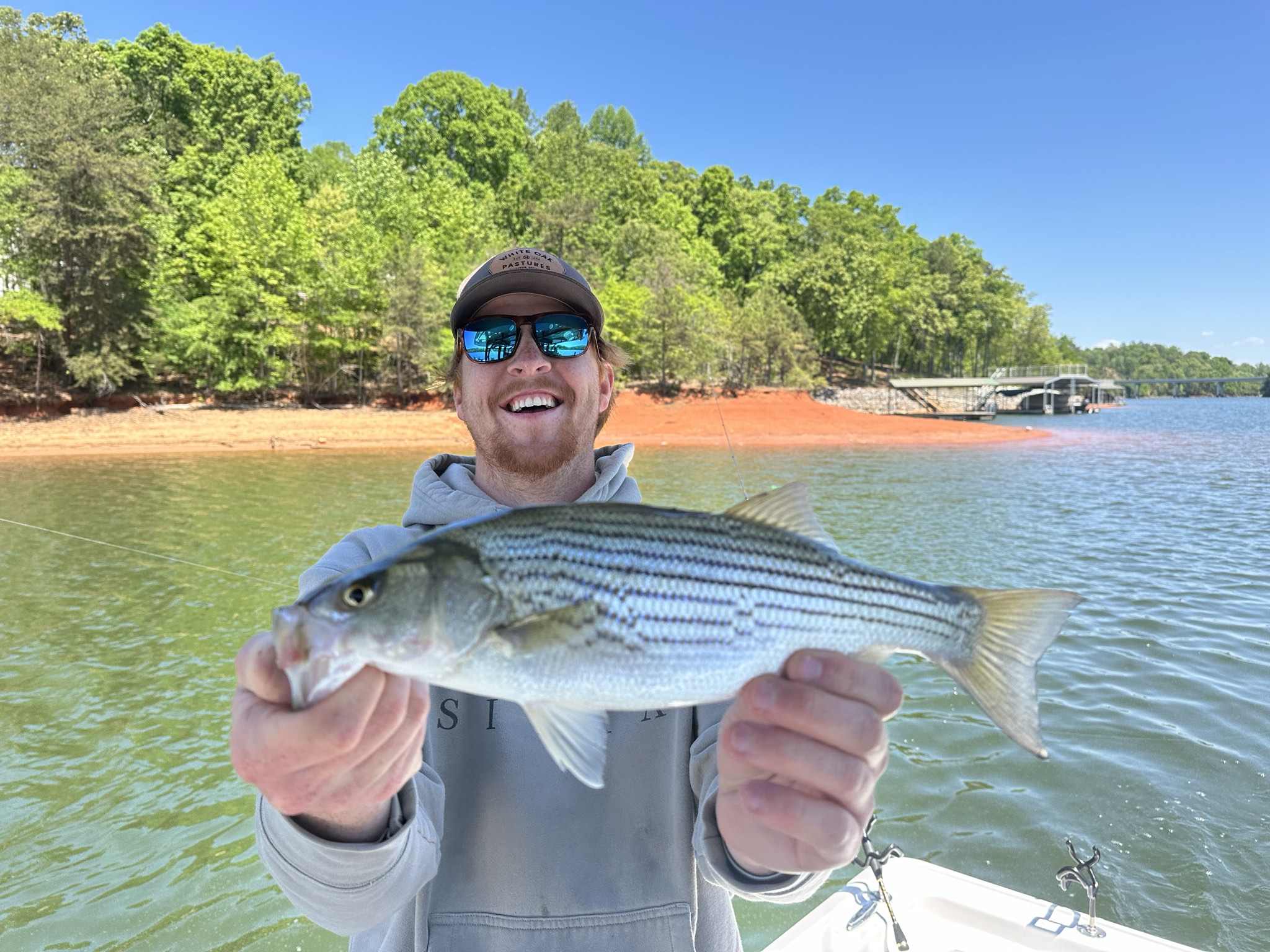 Striped Bass — April 2026