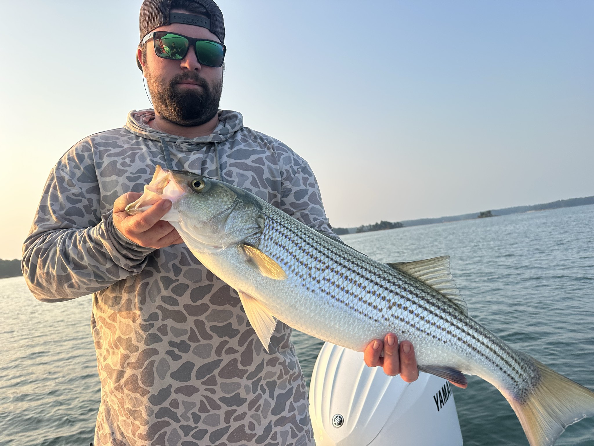 Striped And Spotted Bass Lake Lanier July