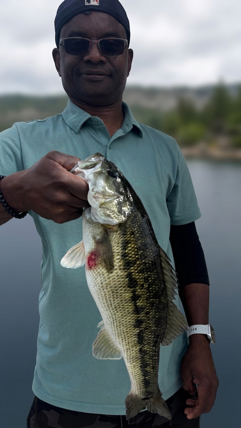 May Striped Bass & Catfish Action on Lake Lanier