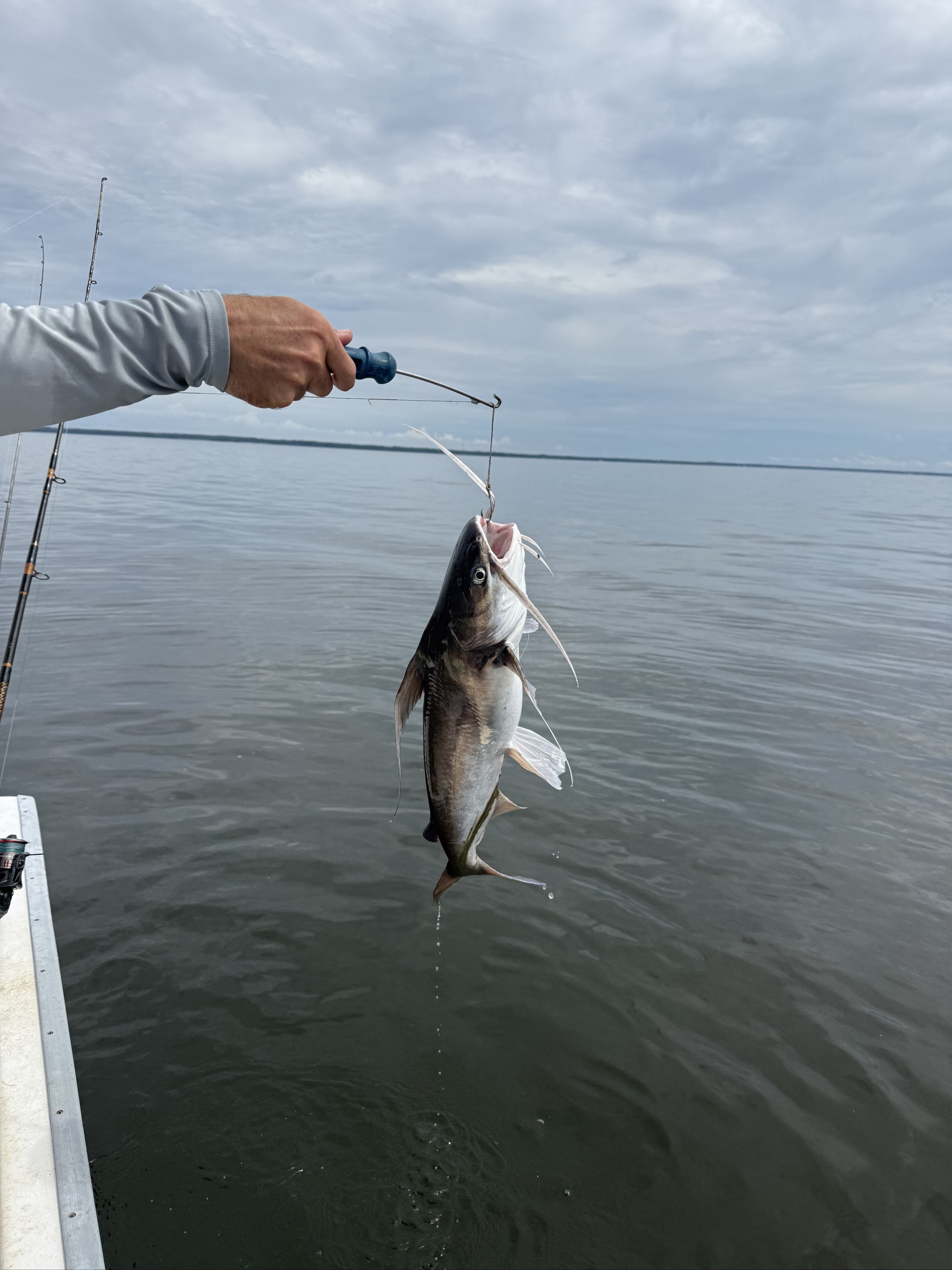 Fishing trip photo from September 14, 2026