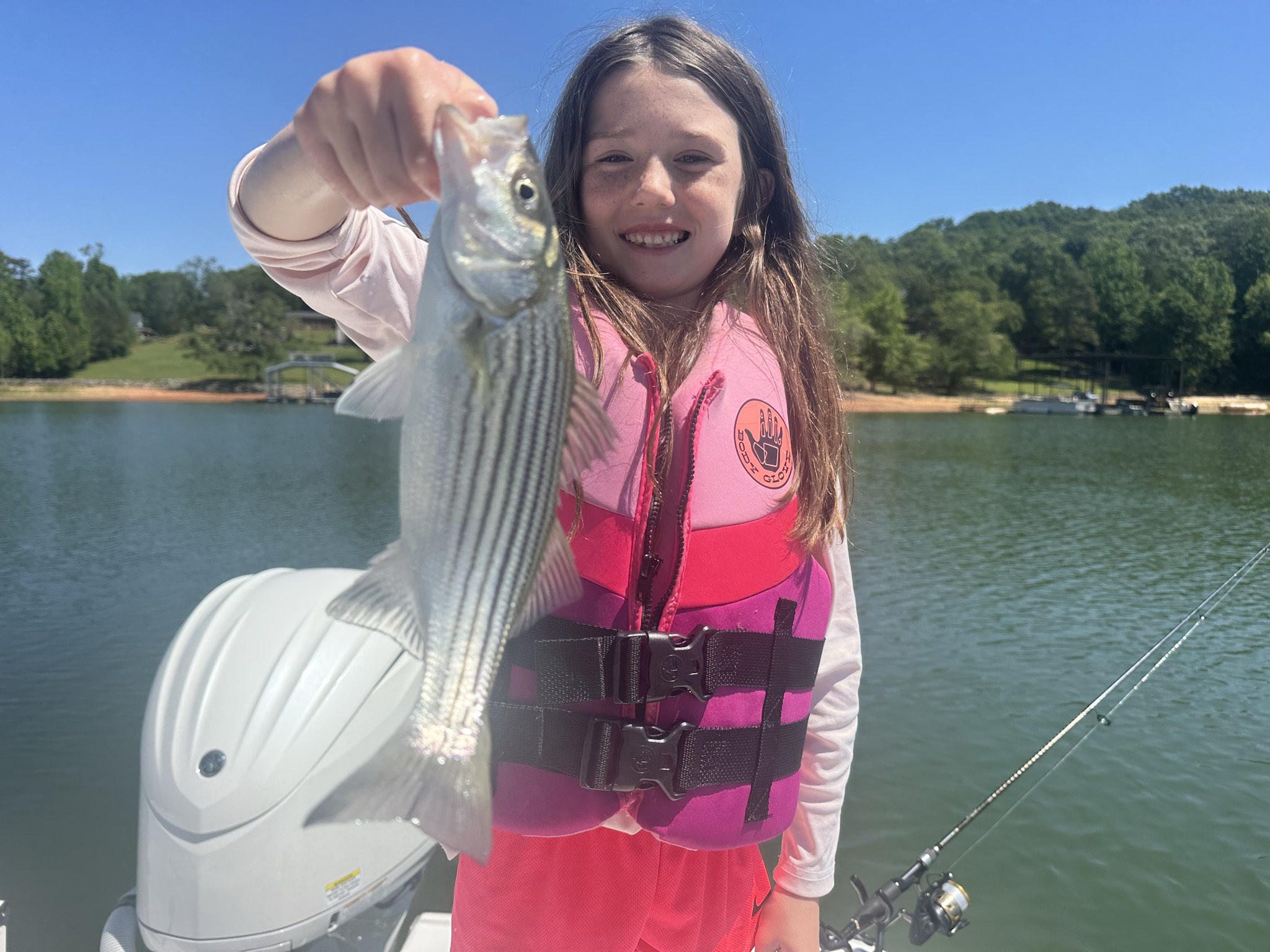 Striped Bass — May 2026
