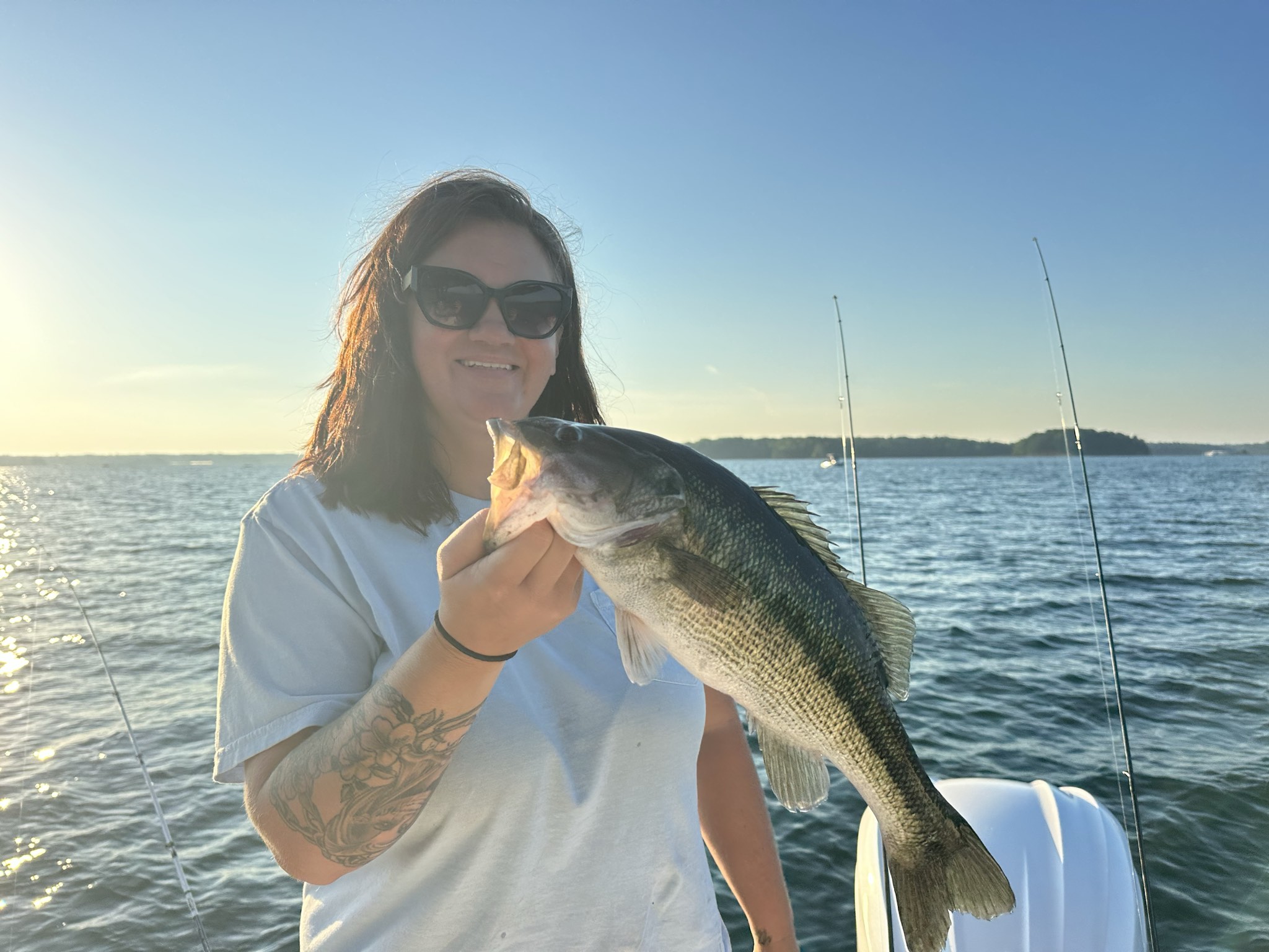 Summer Trophy Bass Action Lake Lanier