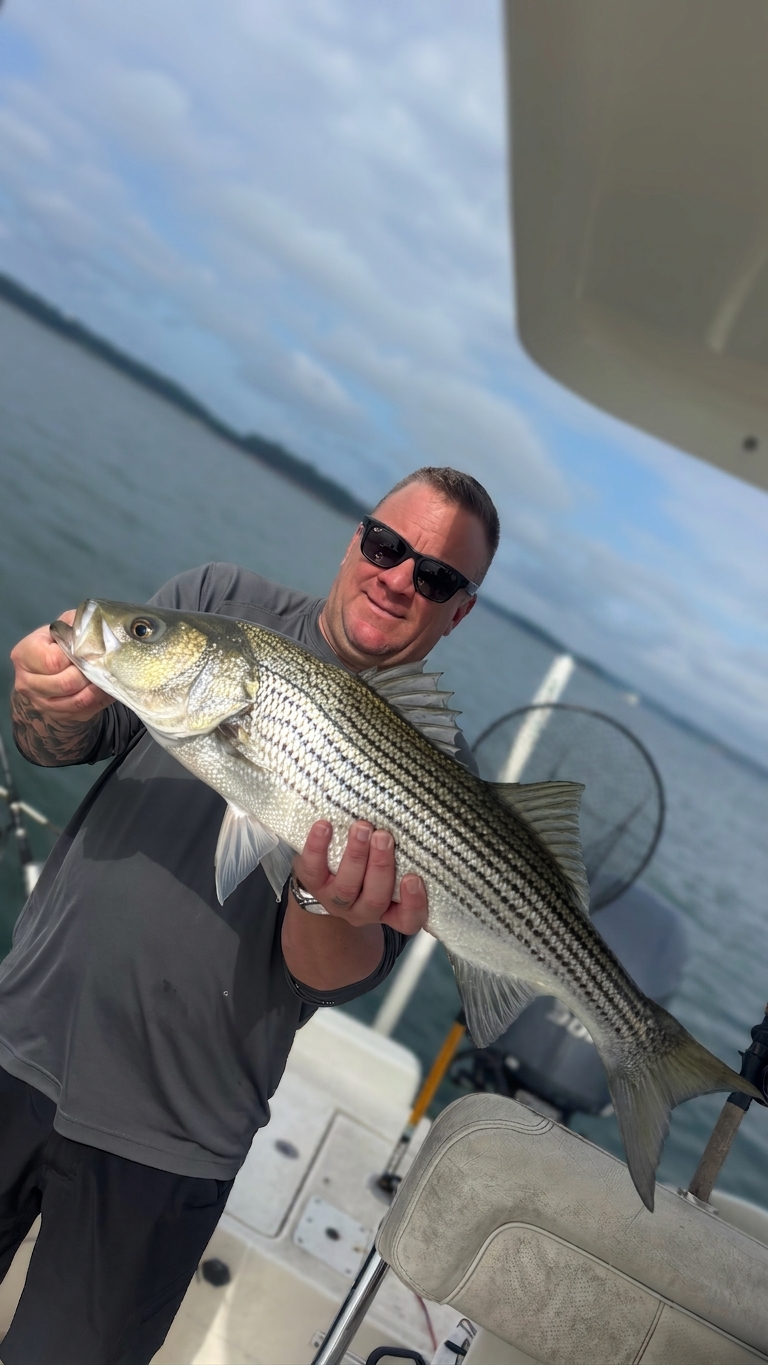Lake Lanier bass — August 2026