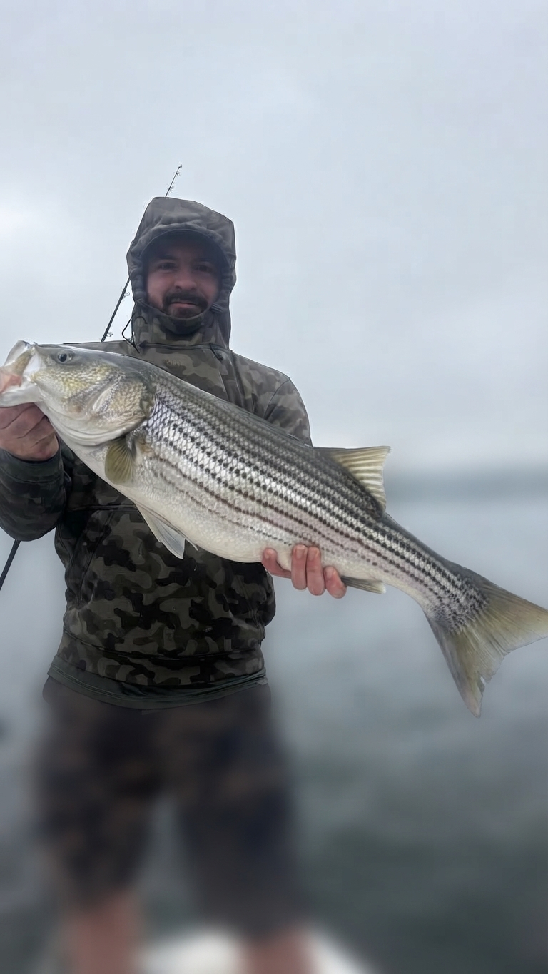 Lake Lanier Channel catfish — October 2026
