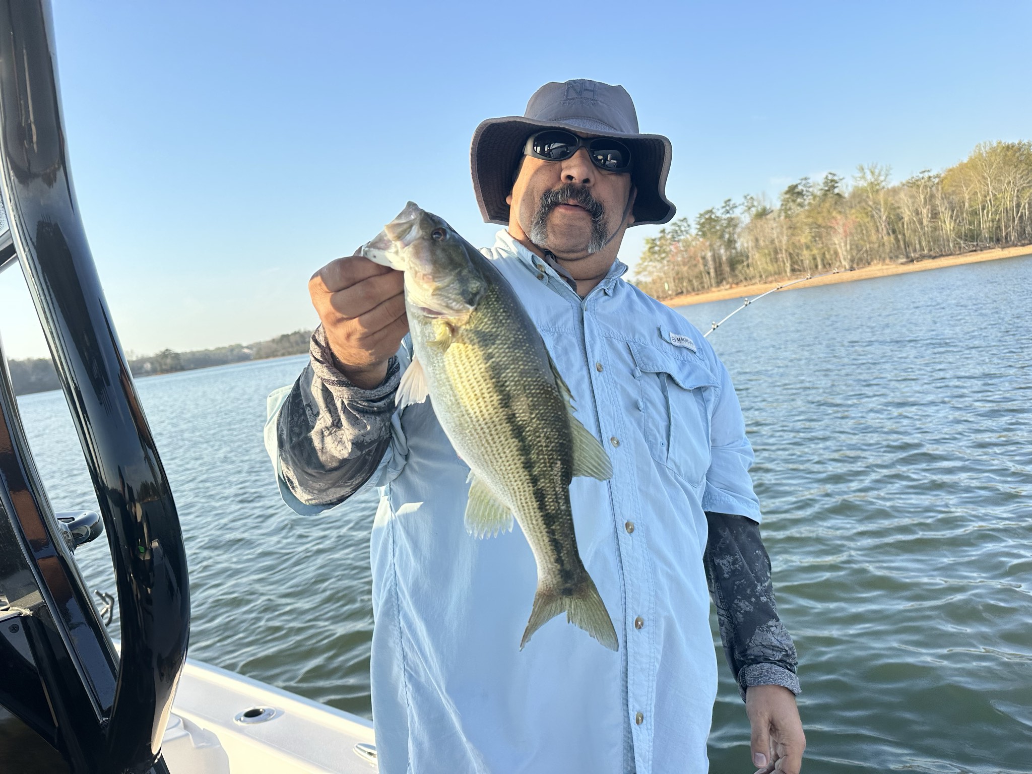 Spring Striped and Spotted Bass on Lake Lanier