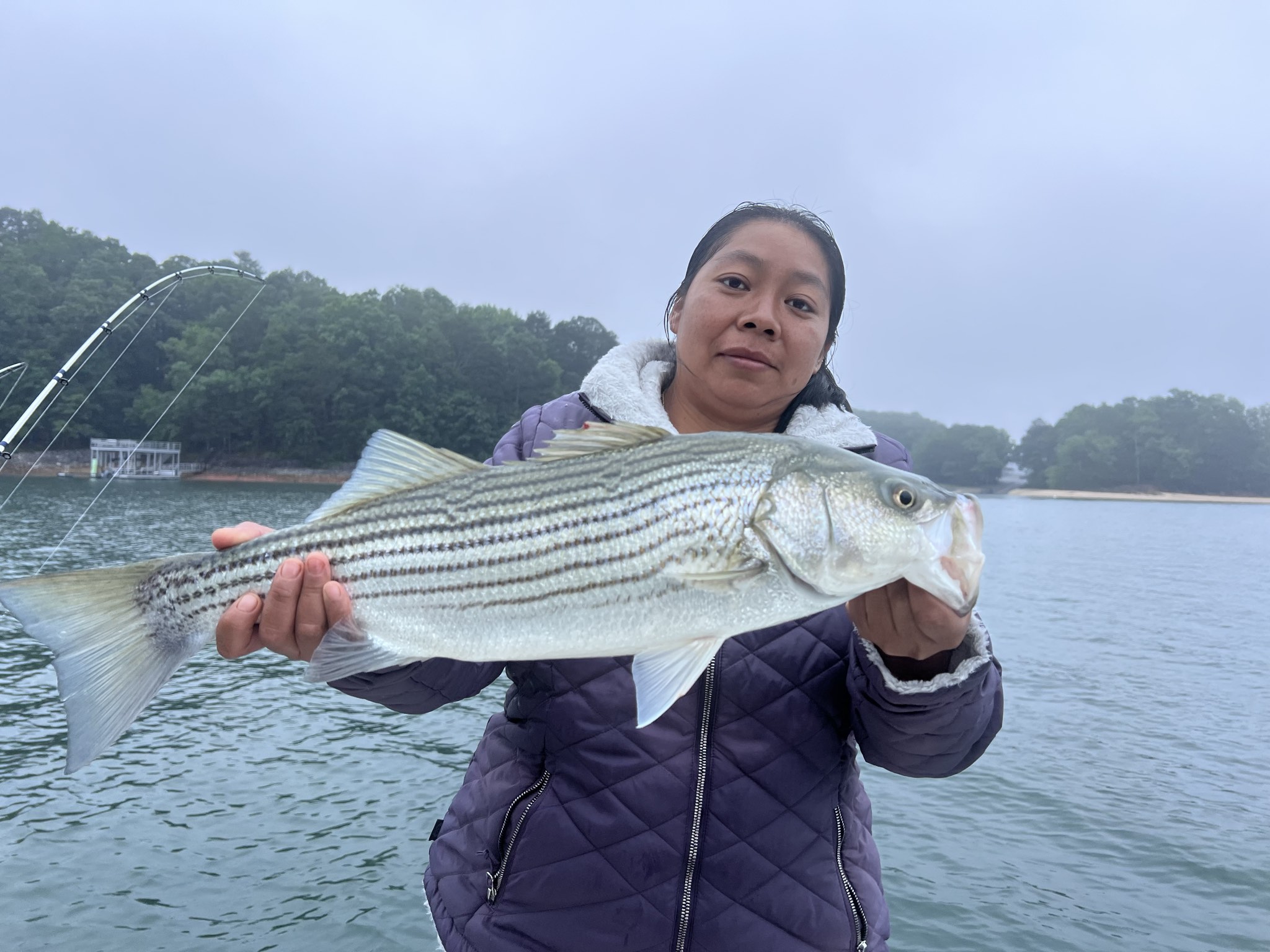 Striped Bass Success On Lake Lanier