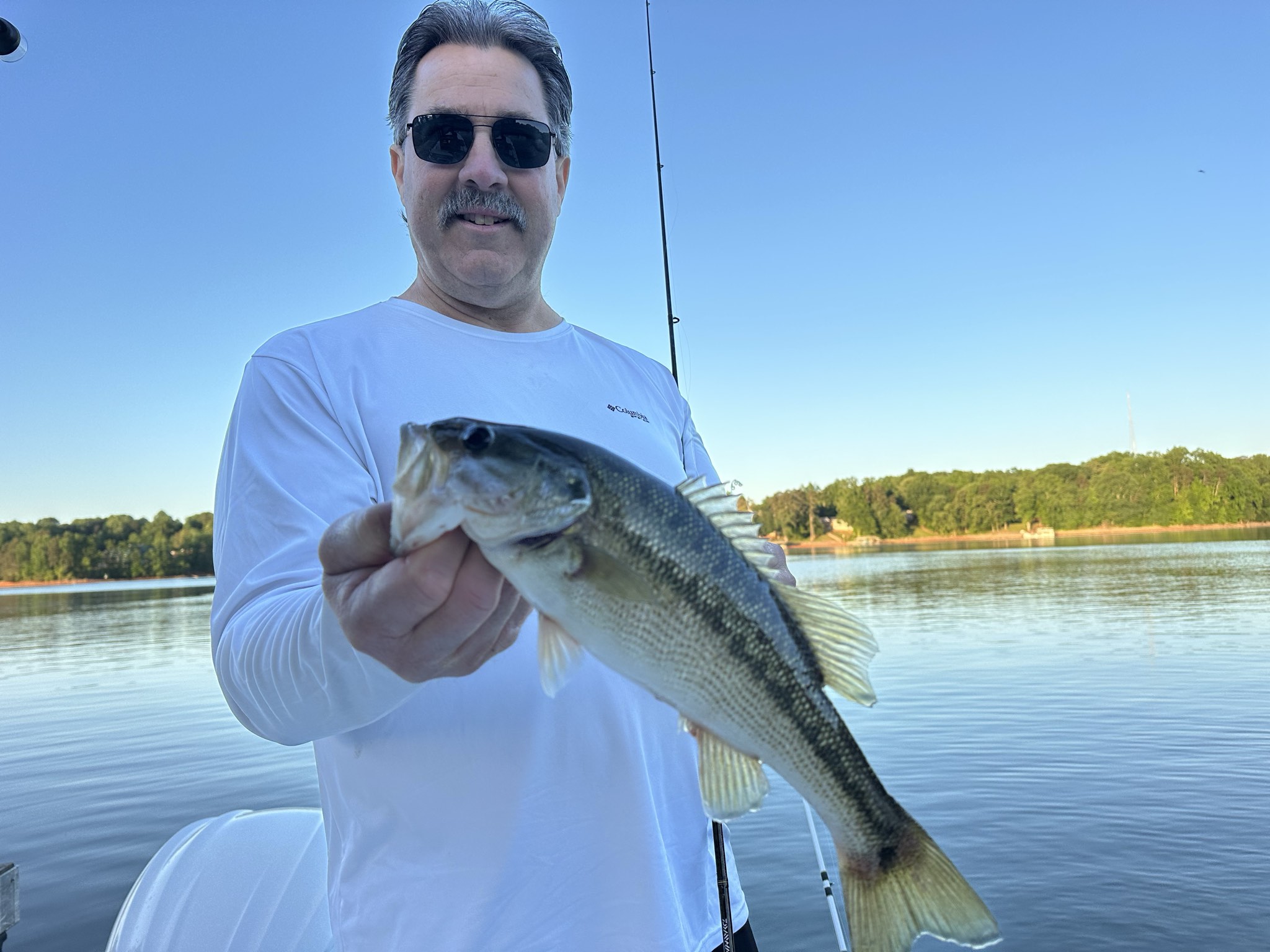 Striped Bass — May 2026