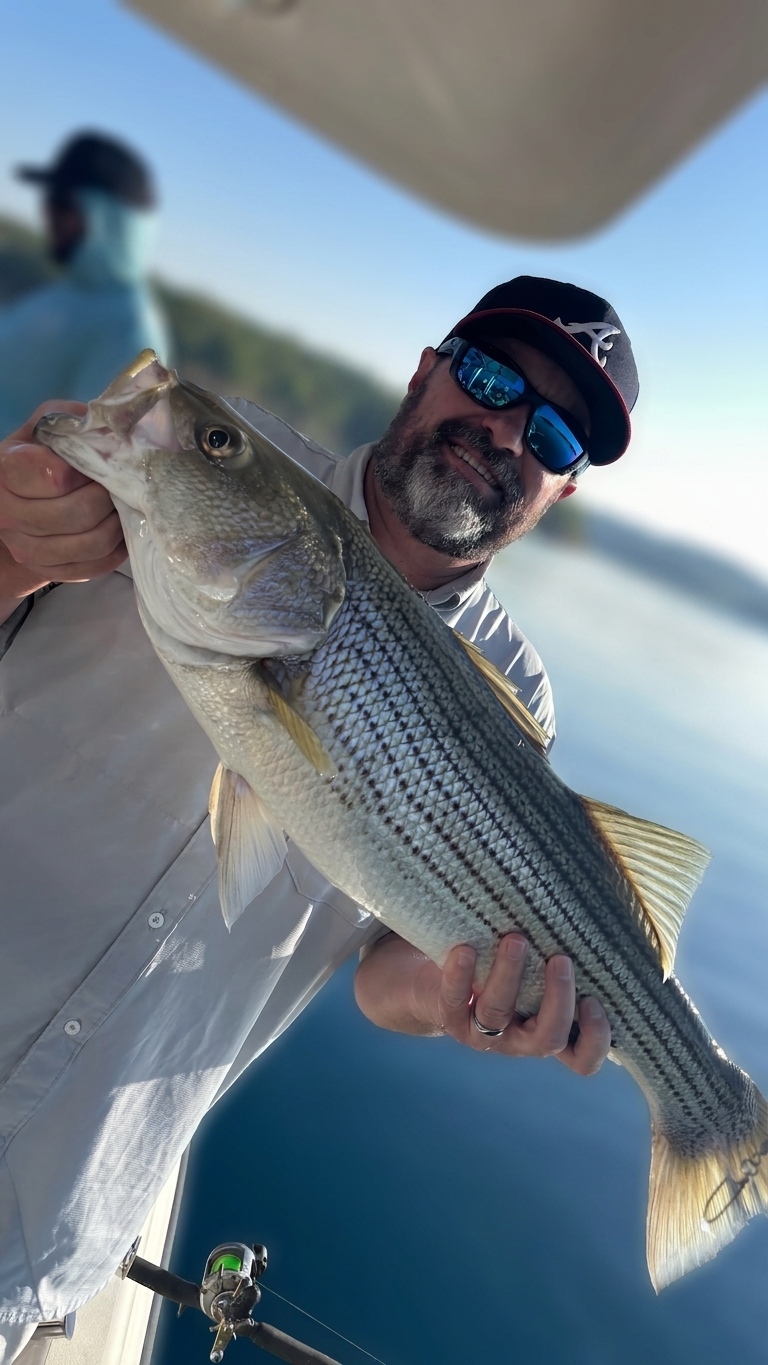 Striped bass caught on Lake Lanier, Sept 4, 2026