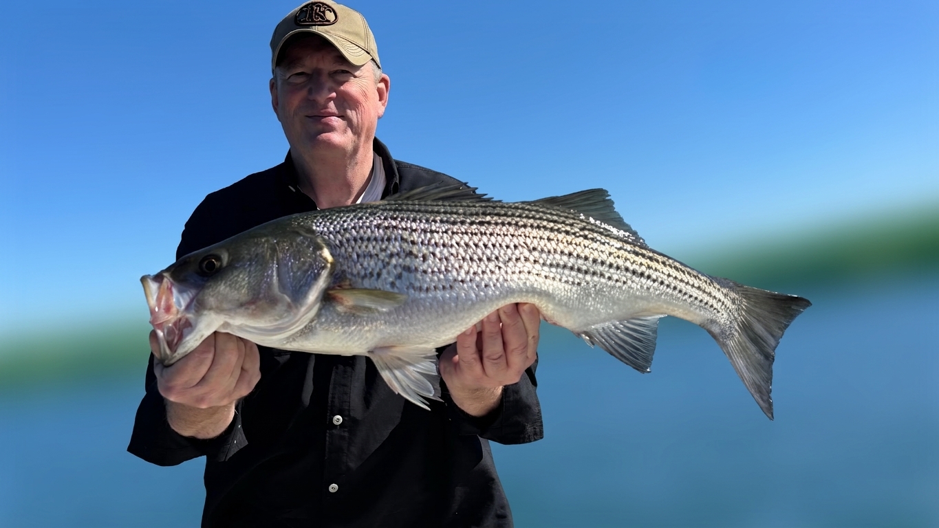 September Striped Bass Action at Lake Lanier