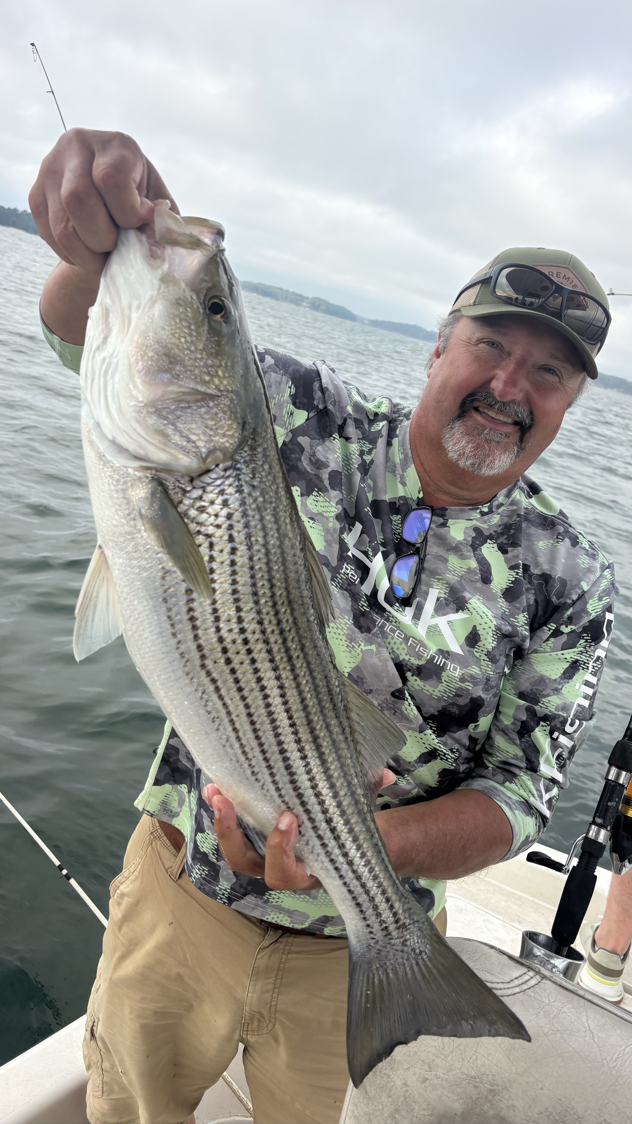 August Striped Bass Action on Lake Lanier