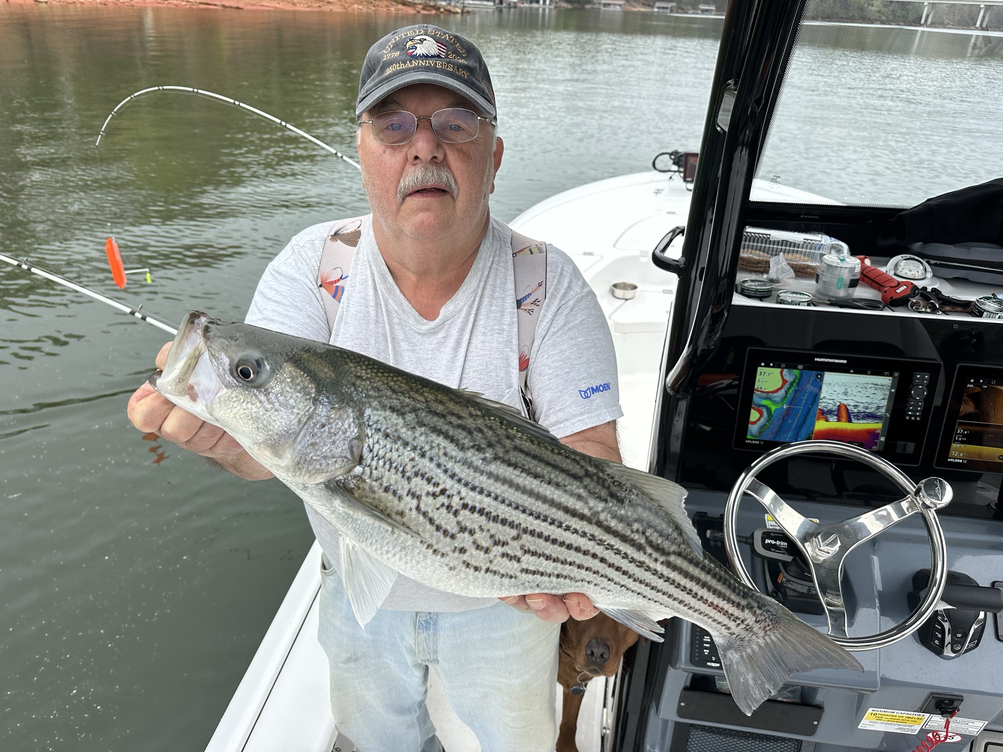 Striped Bass — April 2026