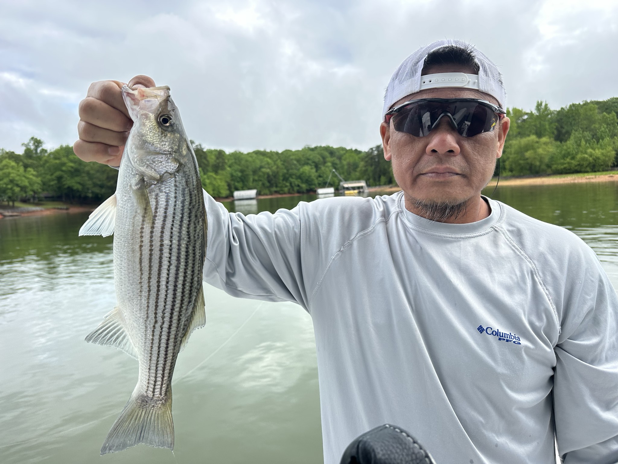 Lake Lanier May Striped Bass Success