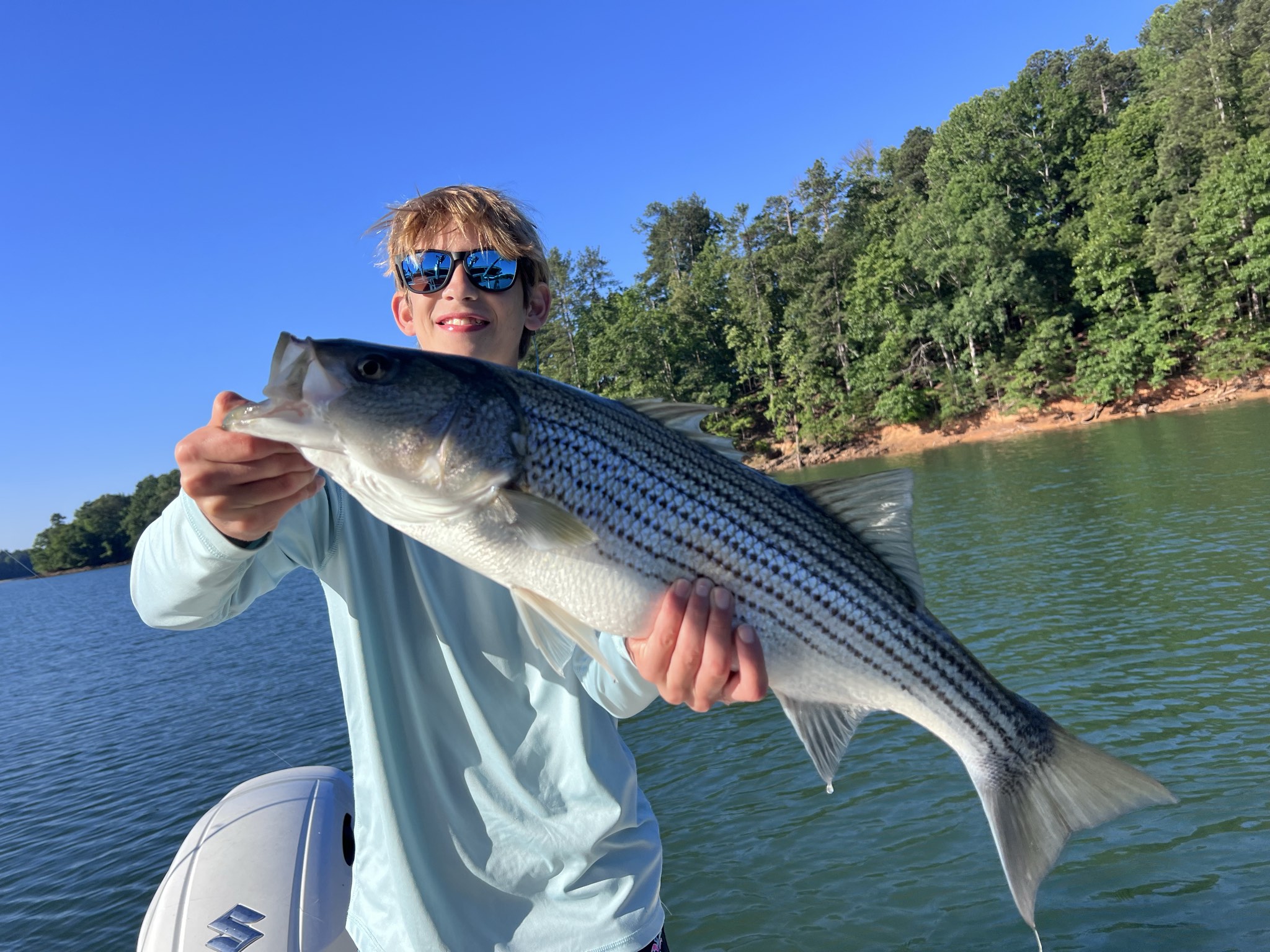 Striped Bass Action On Lake Lanier
