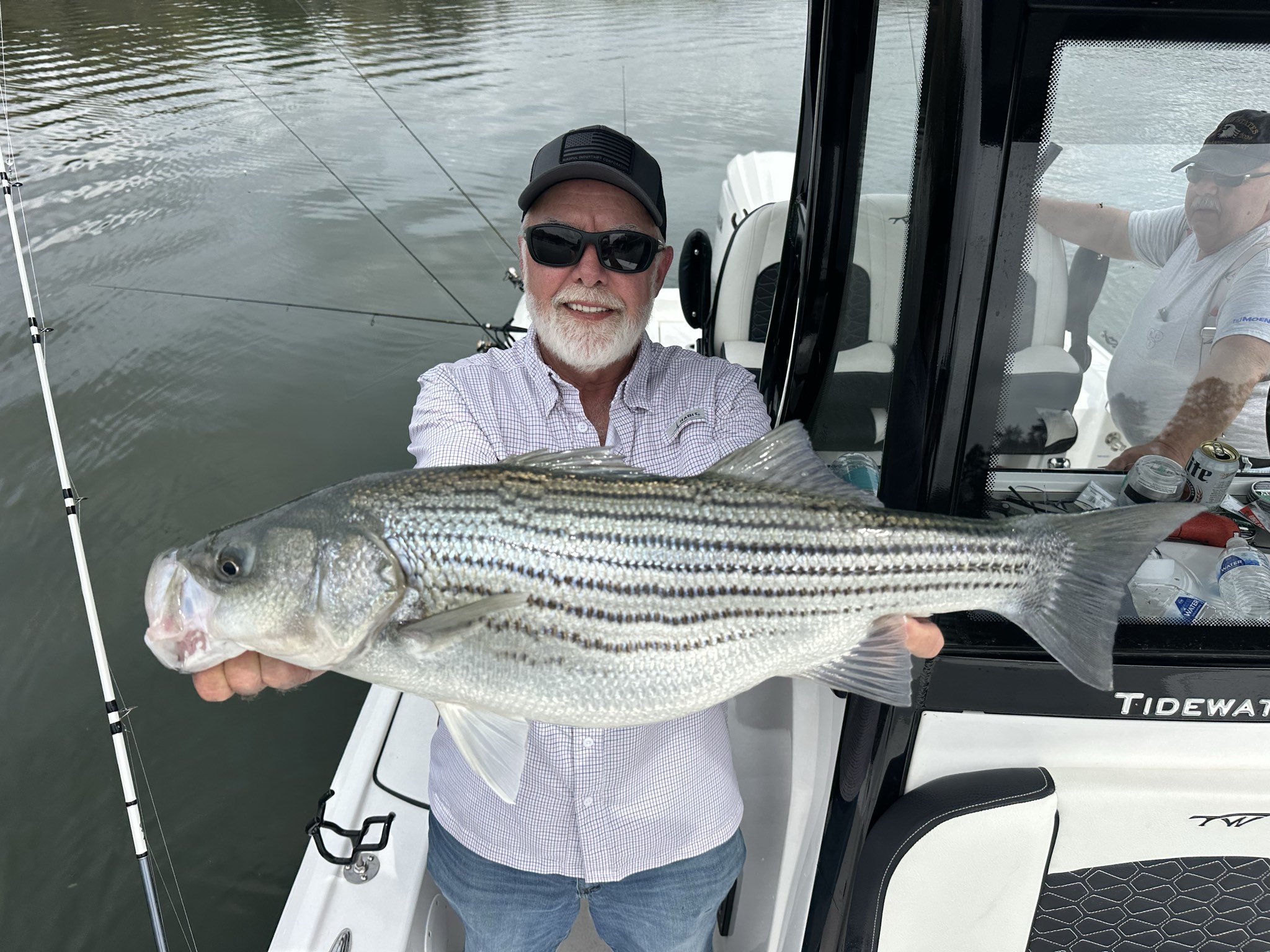 Striped Bass — April 2026