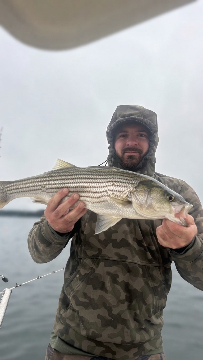 Lake Lanier Channel catfish — October 2026