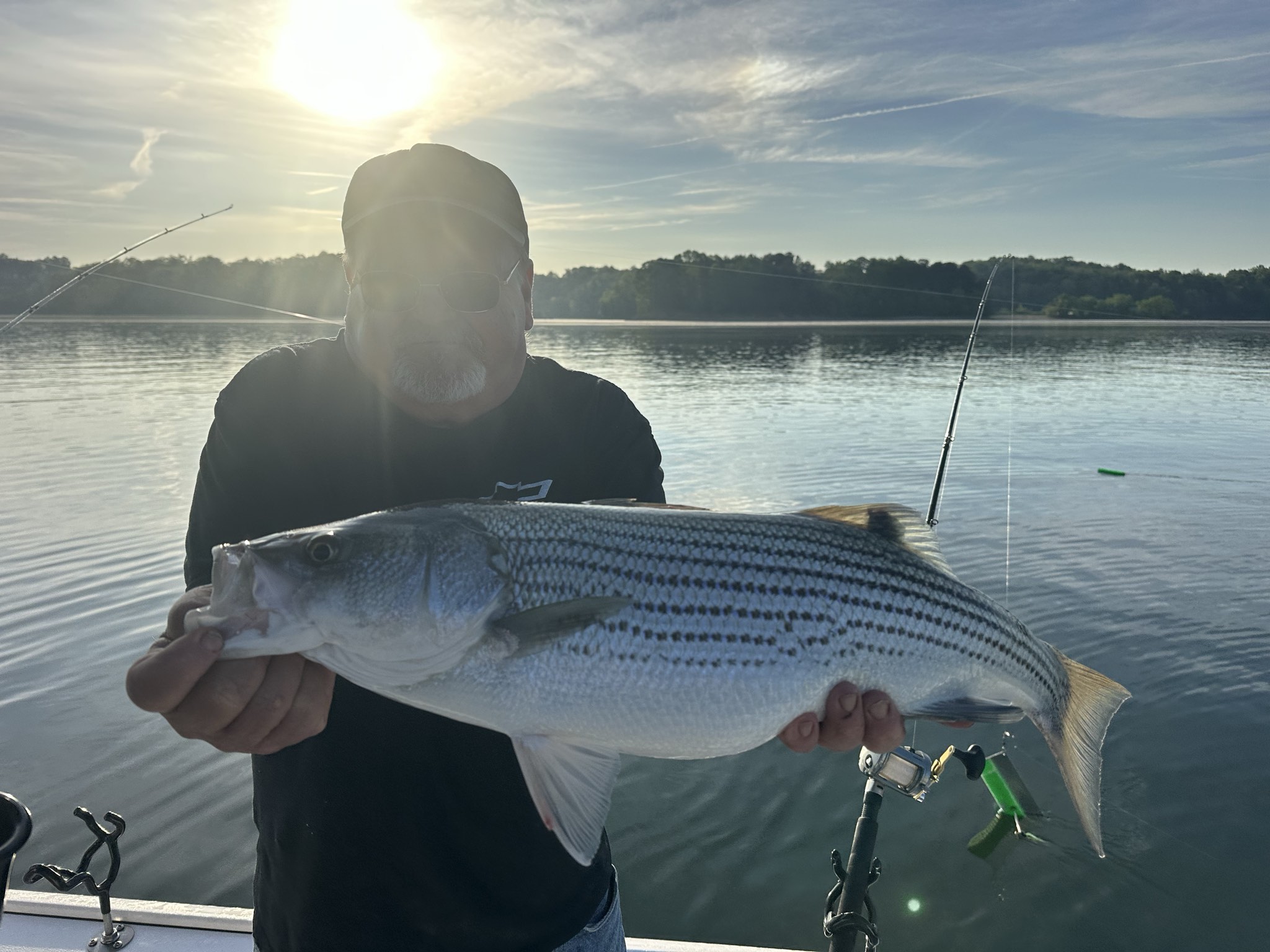 Striped Bass — April 2026