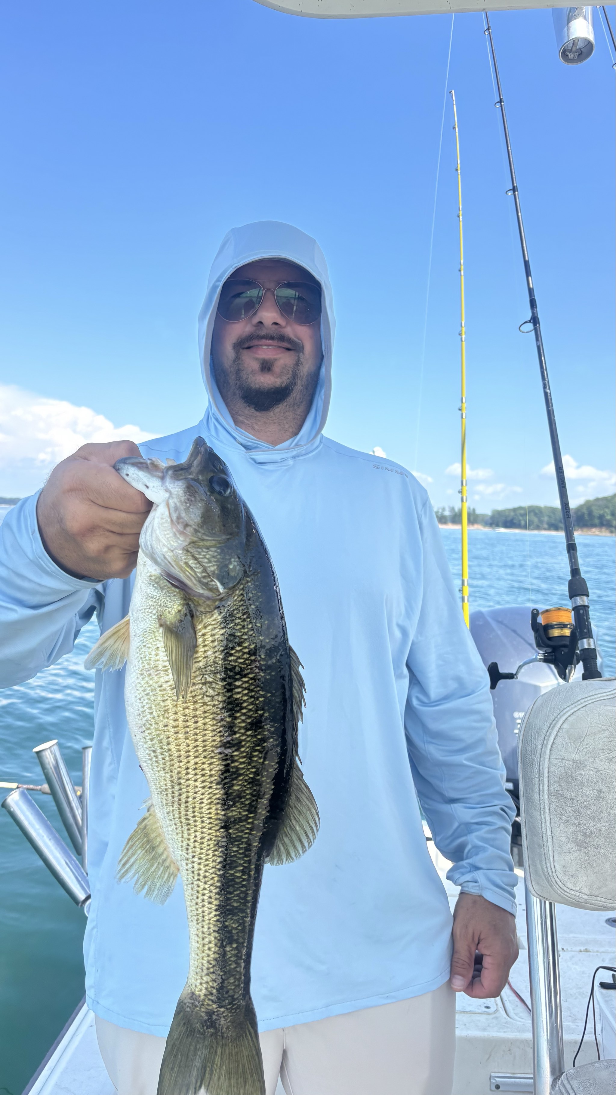 Striped And Spotted Bass Success Lake Lanier