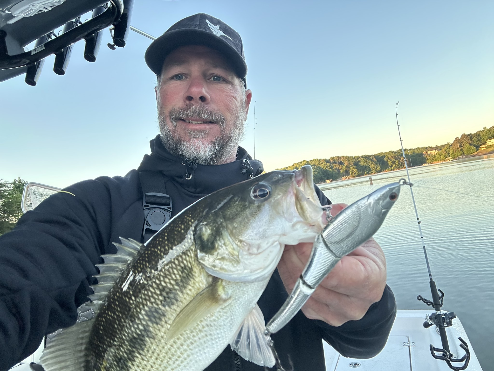 Striped Bass — May 2026