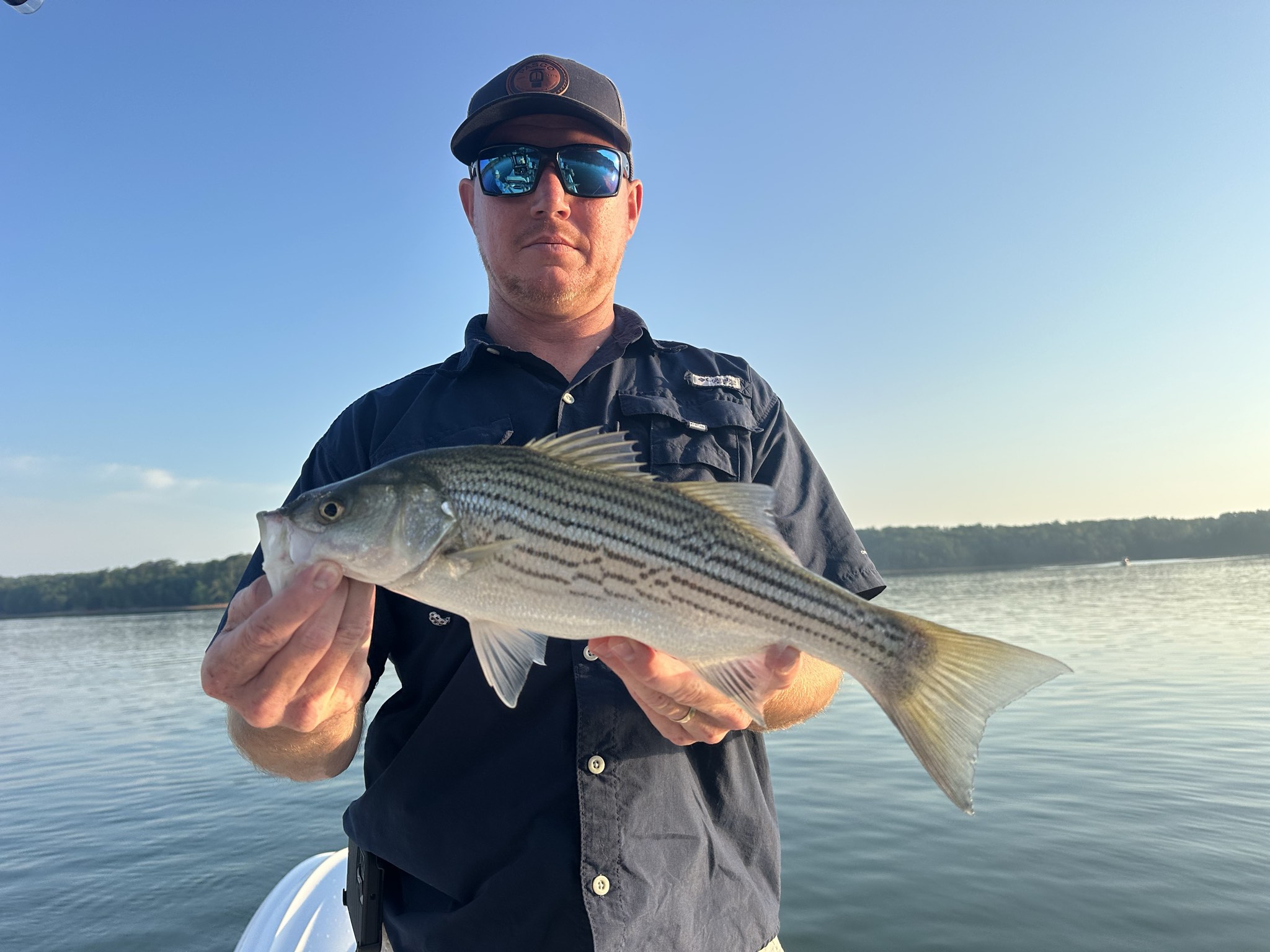 Summer Bass Variety On Lake Lanier