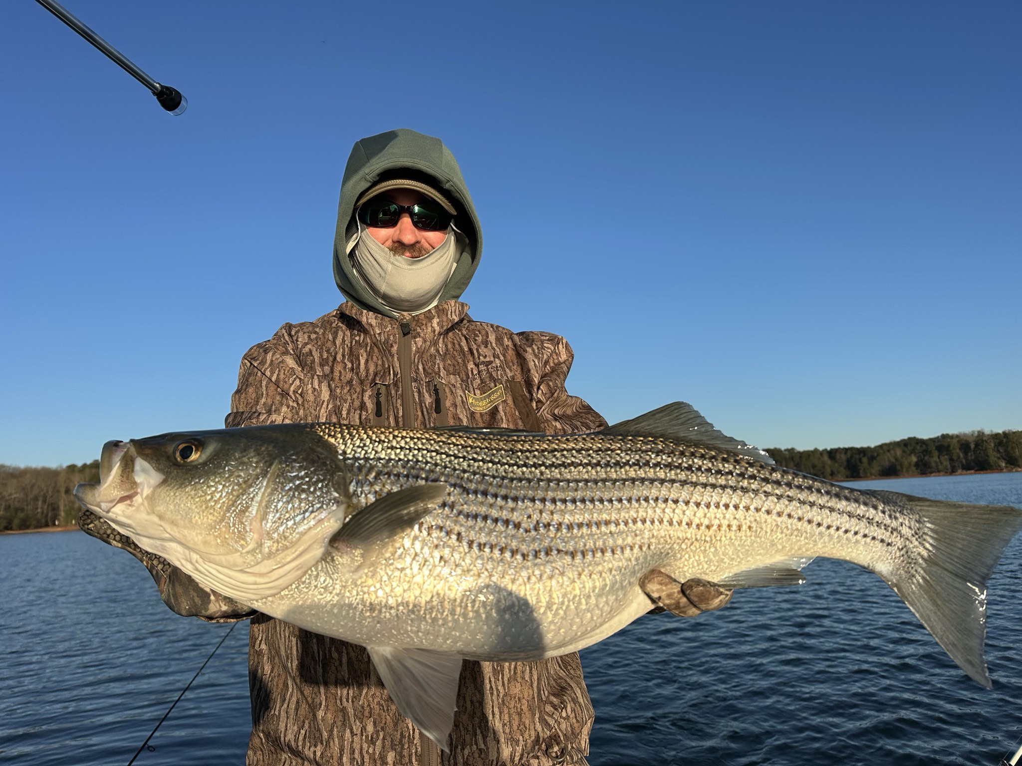 Striped Bass — March 2026